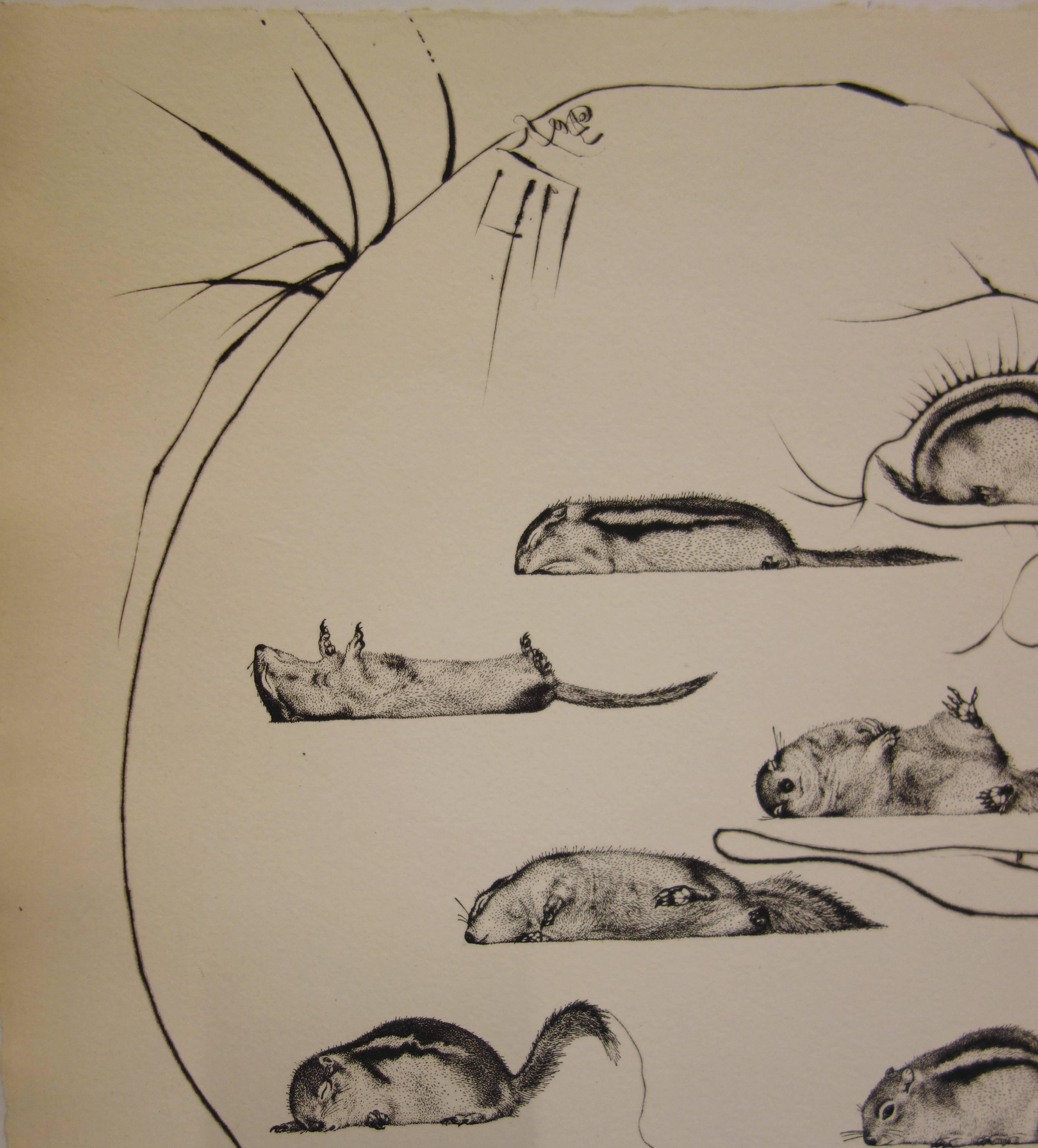 Salvador Dali (1904-1989) 
L'homme ressuscité par l'holographie de l'écureuil (1973) 

Gravure originale sur vélin d'Auvergne
Signé à la main au crayon
Numéroté /Z
Taille : 15,3 x 22,4 pouces (39 x 57 cm) 

Références : Catalogue raisonné Field