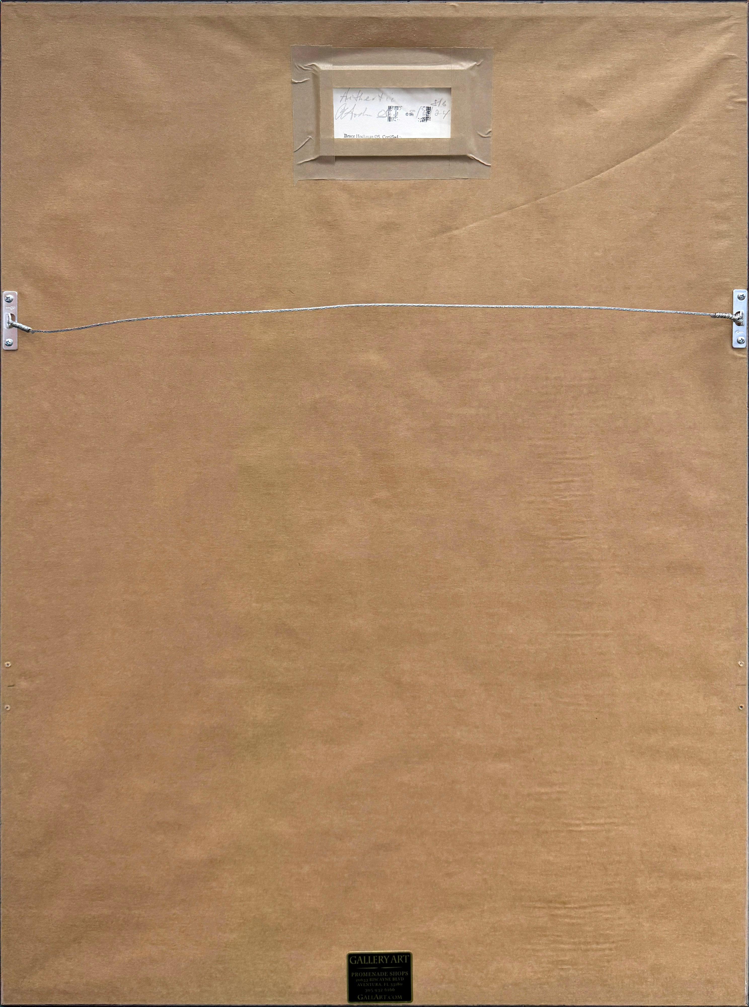 Photolithograph in colors with etching and embossing on Arches paper.  Hand signed lower right by Salvador Dali.  Hand numbered 216/350 lower left.  Sheet size: 30 x 22 inches.  Image size: 24.25 x 17.25 inches.  Frame size: 34.75 x 25.5 inches. 