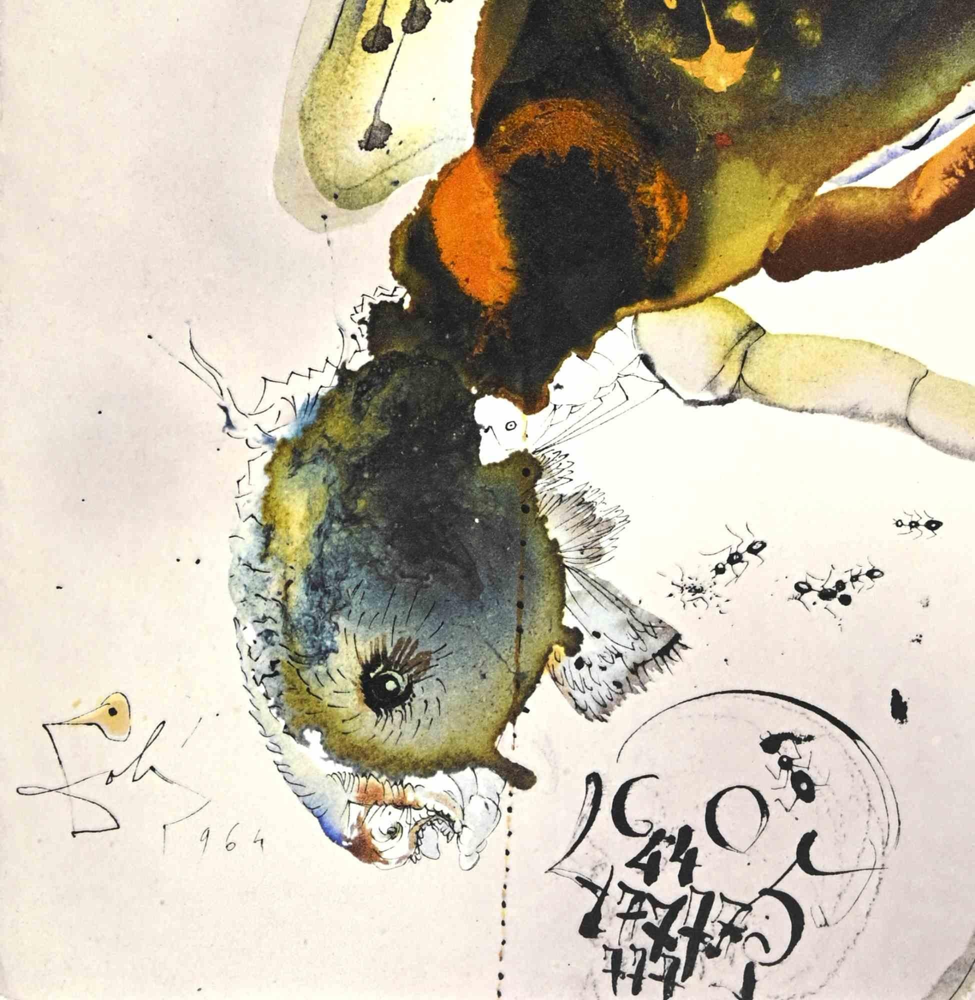 Lochusta et Bruchus - Lithograph - 1964 - Print by Salvador Dalí