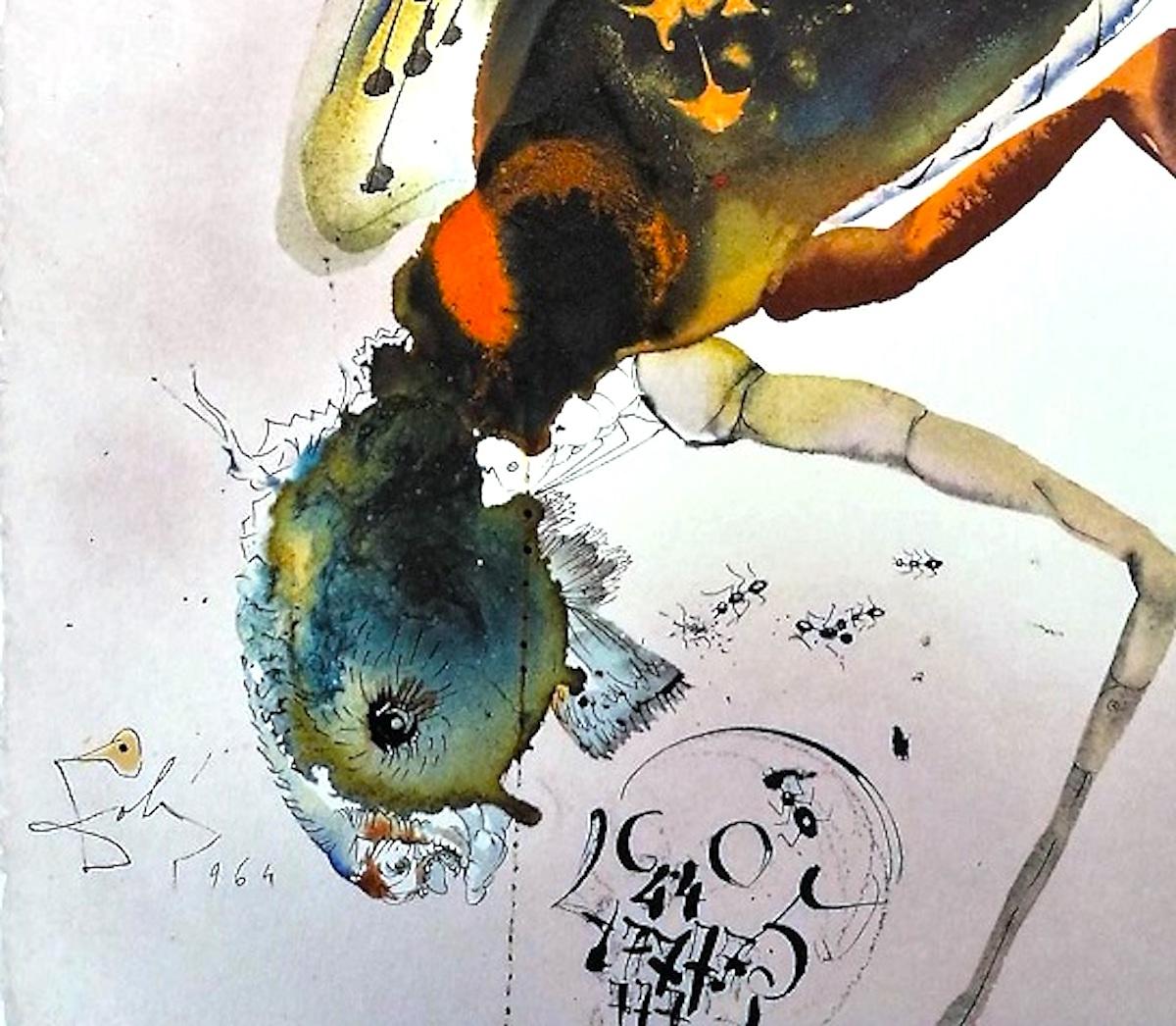 Lochusta et Bruchus - Litografia - 1964 - Print di Salvador Dalí