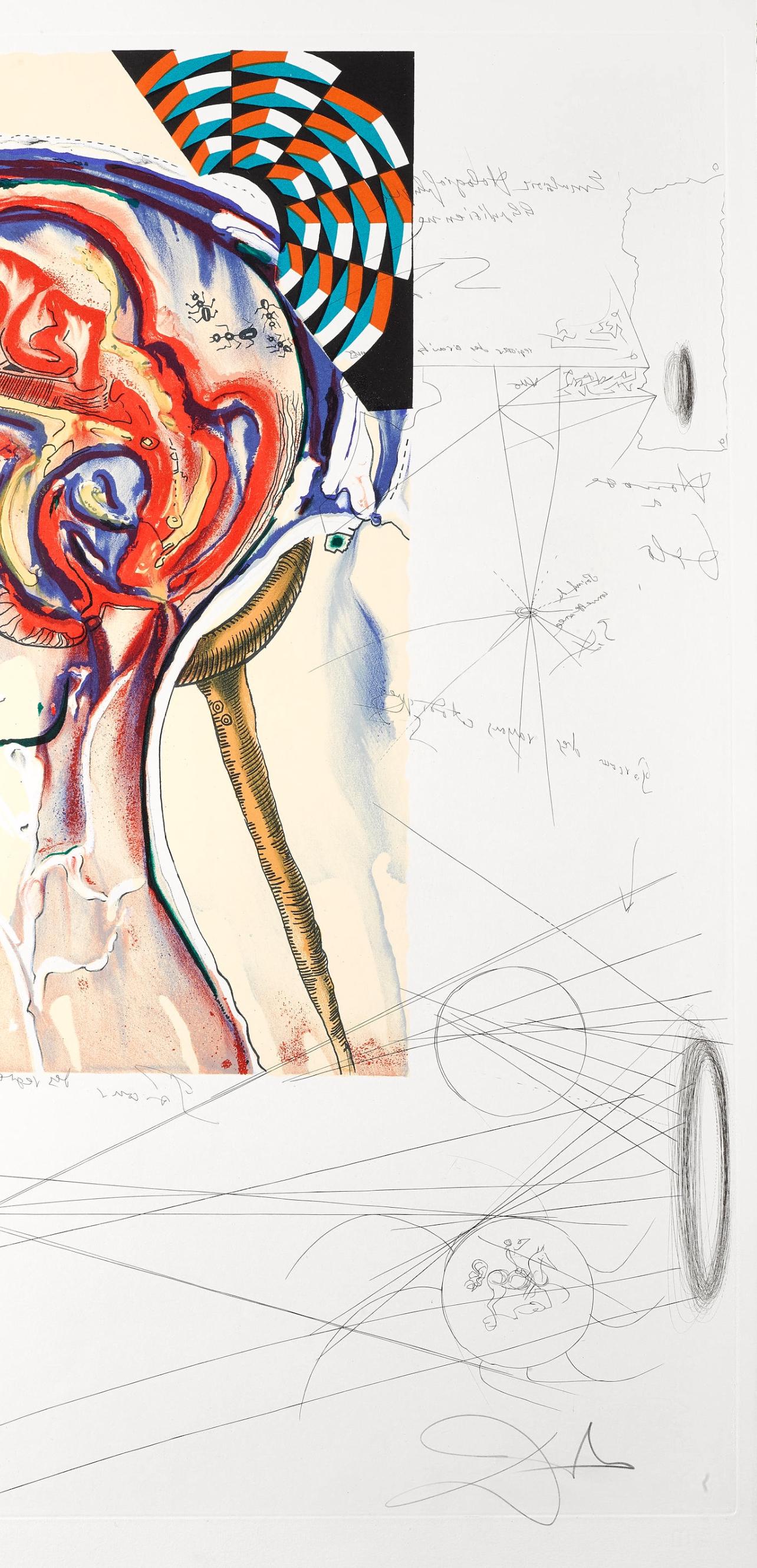 Lunettes à hologrammes et ordinateurs (M/L 822-831; Field 75-13) - Surrealist Print by Salvador Dalí