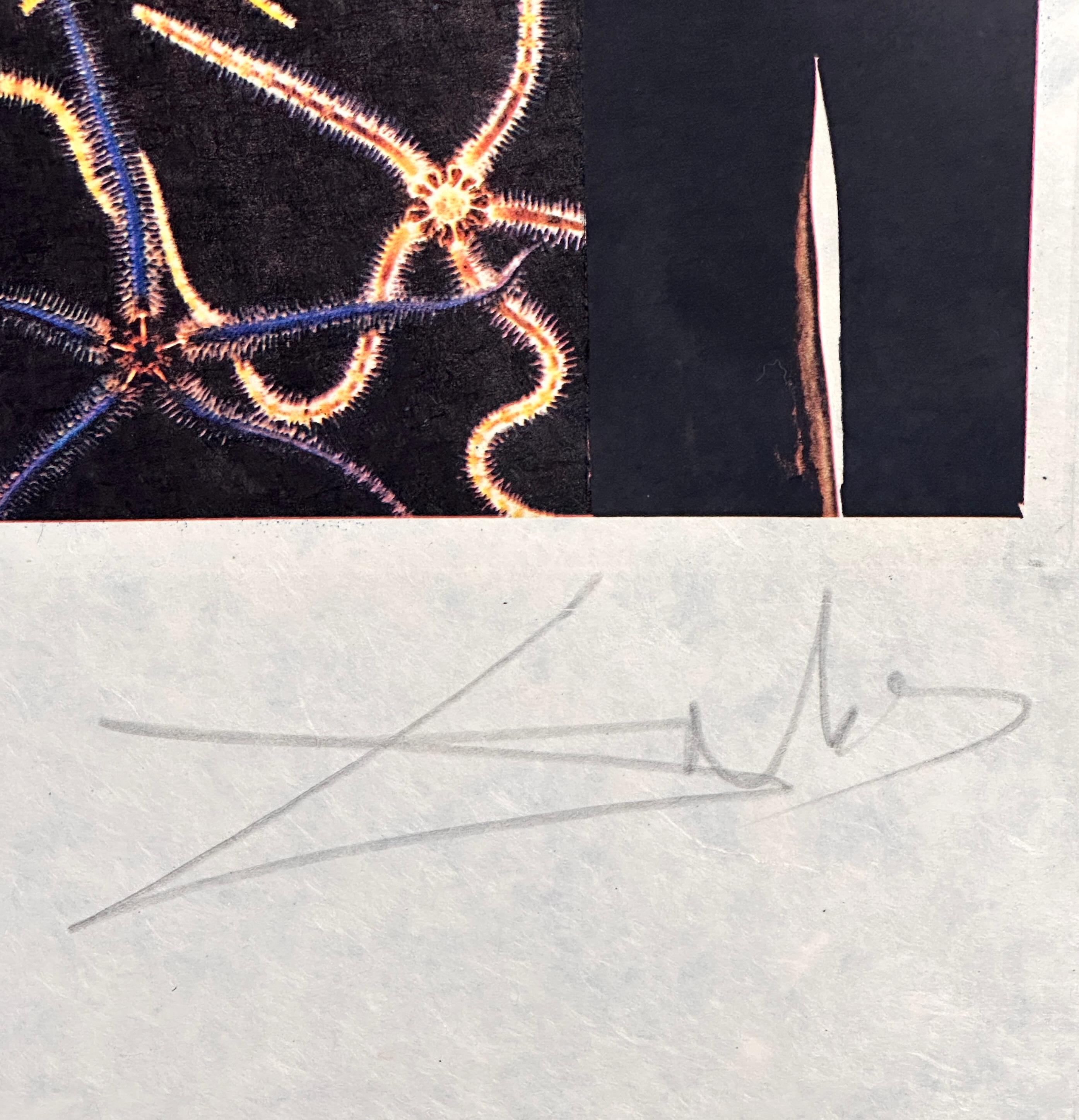 Erinnerungen an den Surrealismus Surrealistischer König (Beige), Print, von Salvador Dalí