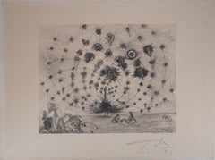 Mythology : Argus (the Peacock) - Original etching, Handsigned (Field #63-3A)