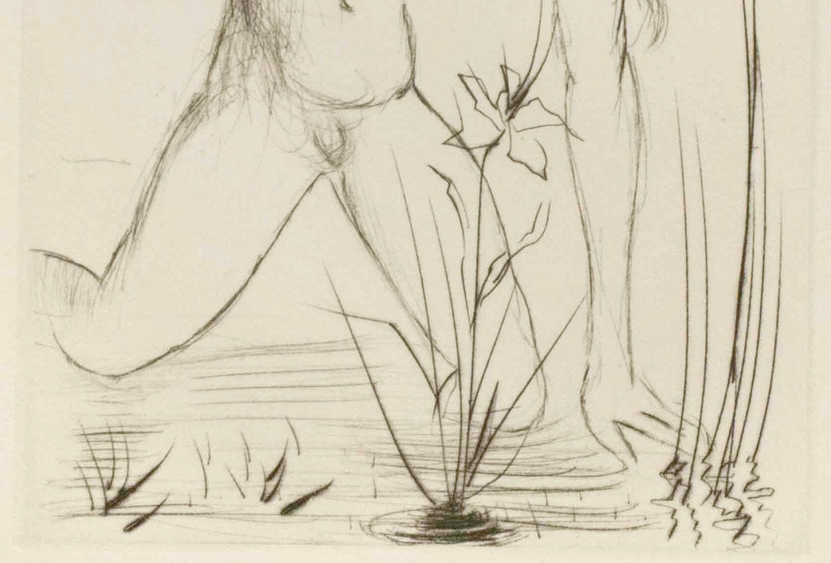 narcissus dali