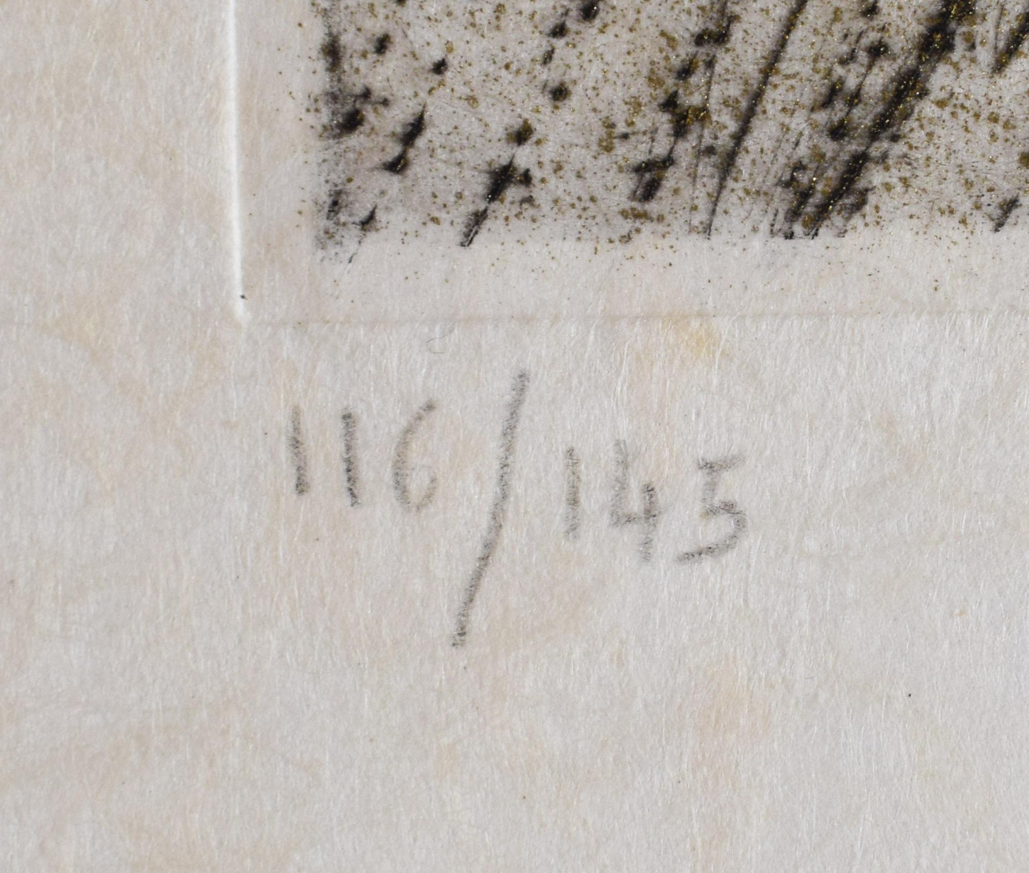This original hand-coloured etching is hand signed in pencil by the artist 