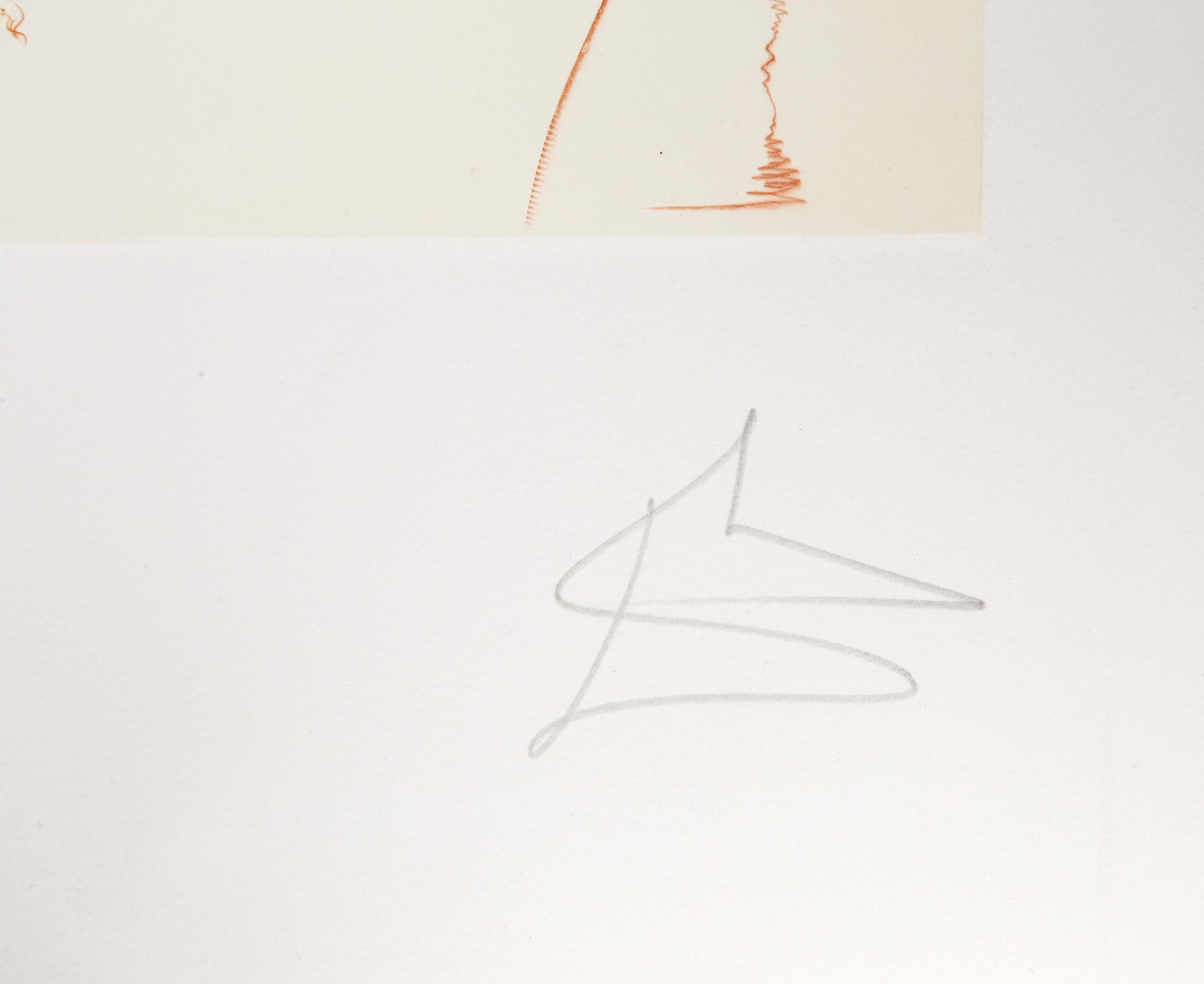Lithographie et gravure sur papier Arches d'après le portfolio Les cycles de la vie de Salvador Dali, réalisé en 1977. Il a été imprimé par Forte et publié par Duall Graphics pour DALART. Il est référencé dans Field comme 79-1-B.

L'identité de