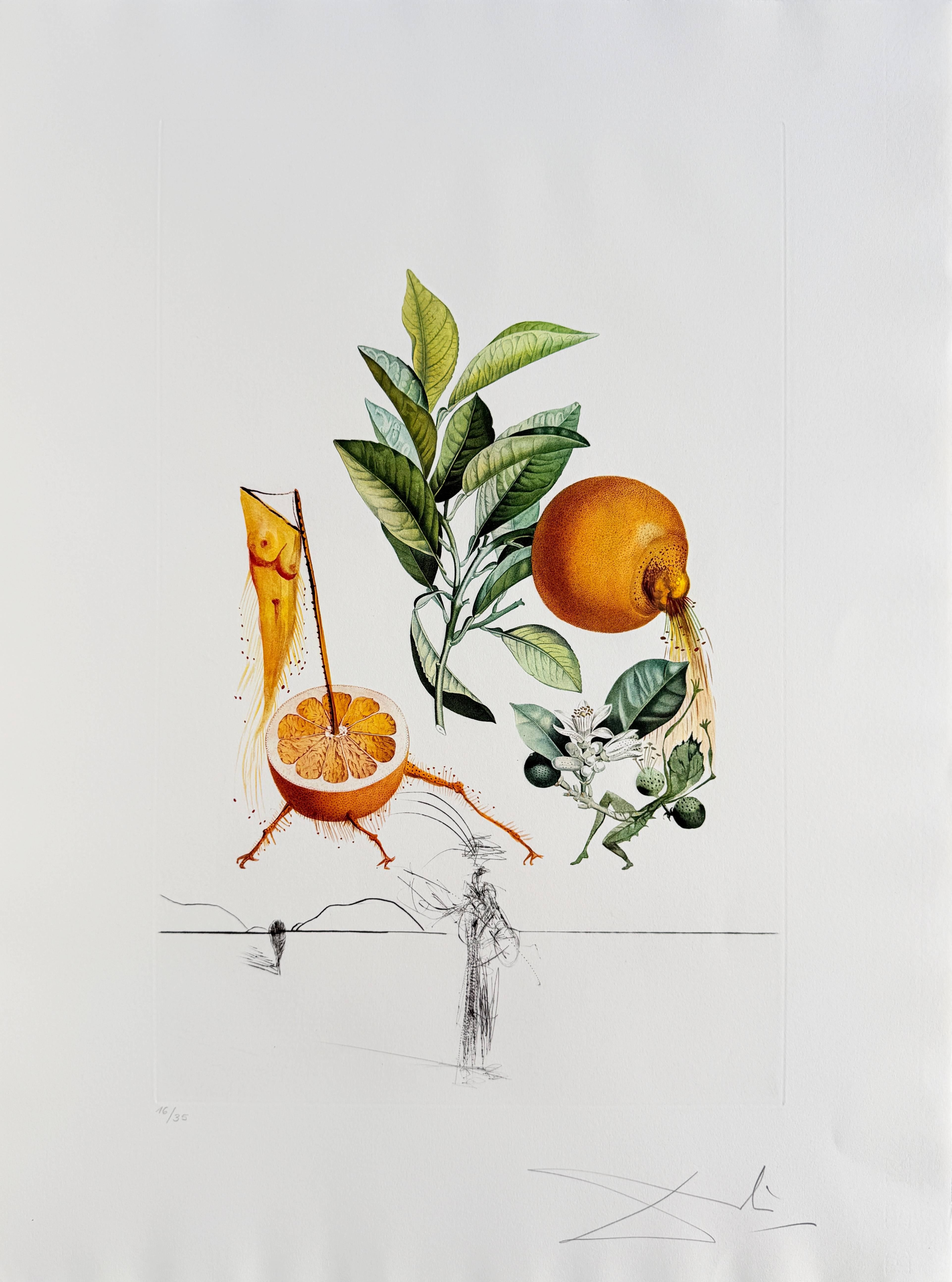 Érotique Pamplemousse Lithograph, Signed Drypoint Etching, 1969