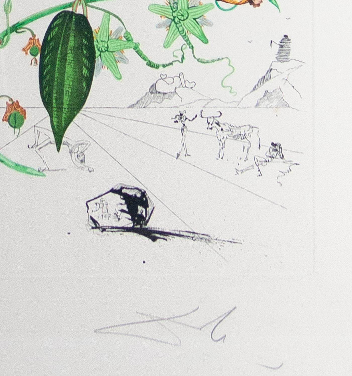 Passiflora Laurigera, acquaforte originale firmata  Flora Dalinae 1968 Salvador Dalì - Print Grigio di Salvador Dalí