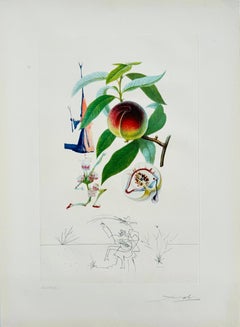 Pêcherie pénitente de la suite Flordali