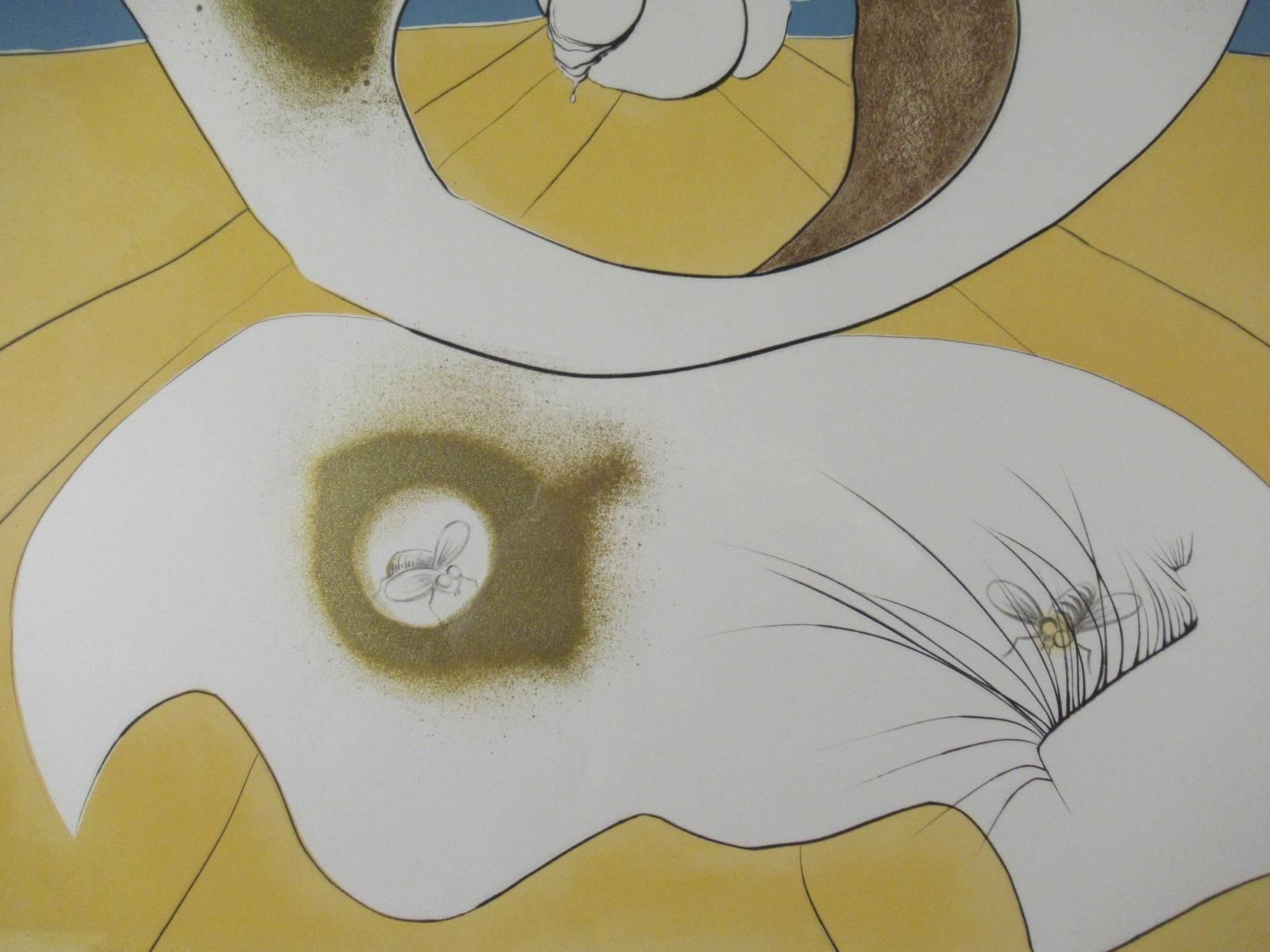 Künstler:	Salvador Dali (spanischer Surrealist, 1904-1989)
Titel:	Planetarisches und skatologisches Sehen
Jahr:        1974
Medium:	Kupferstich mit Prägung und Farblithographie
Auflage:	Mit Bleistift nummeriert CXVI/CLXXXXV
Bild (Kennzeichen):   29