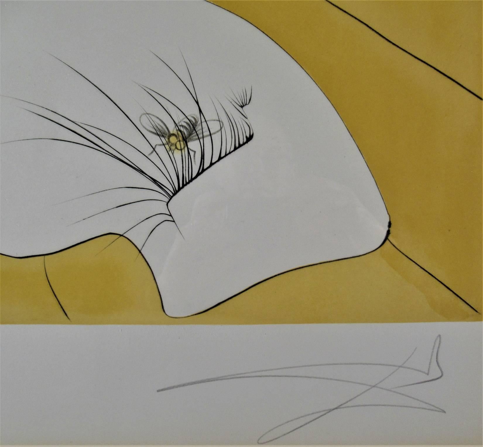 Artista:	Salvador Dalì (surrealista spagnolo, 1904-1989)
Titolo:	Visione planetaria e scatologica
Anno:        1974
Media:	Incisione con rilievo e litografia a colori
Edizione:	Numerato CXVI/CLXXXXV a matita
Immagine (marchio della piastra):   29 x