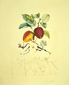 Pomme Dragon (Eve's Apple) - Etching attr. to S. Dalì - 1969