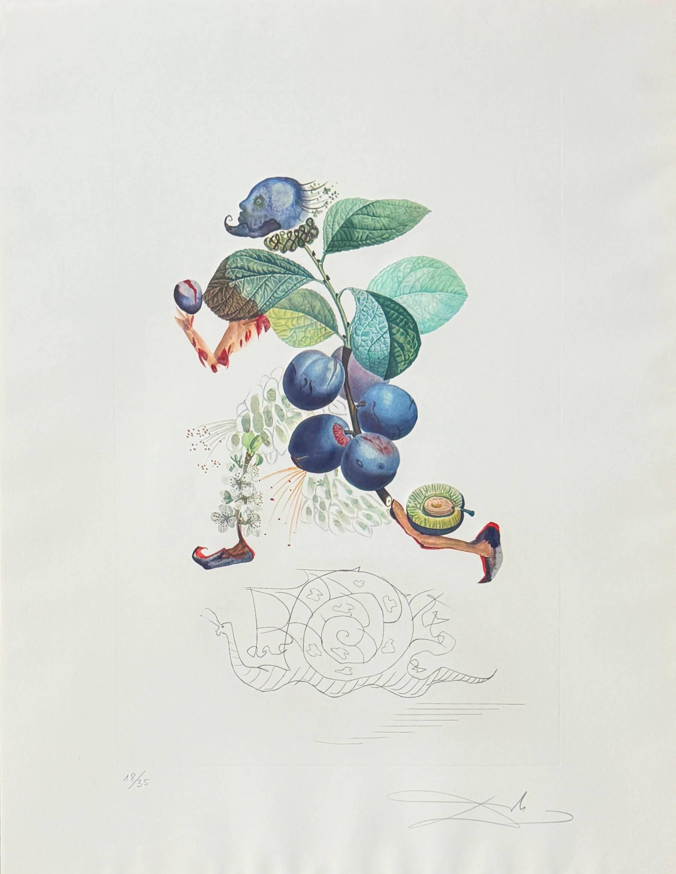 Prunier hâtif (Hurrying Plum-tree) For Sale 1