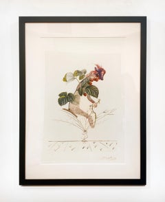 Salvador Dali "Raspberry Bush"