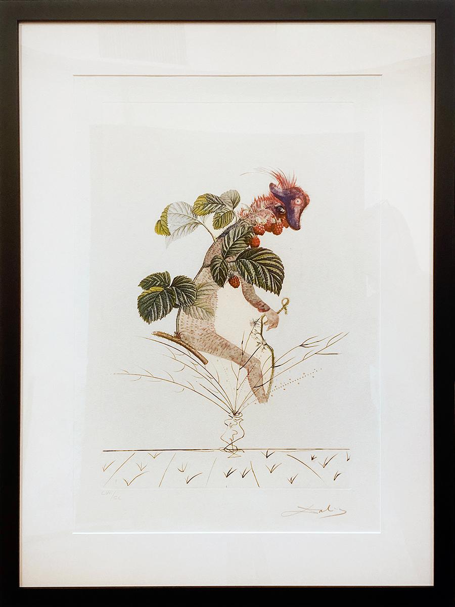 Raspberry Bush - Print by Salvador Dalí