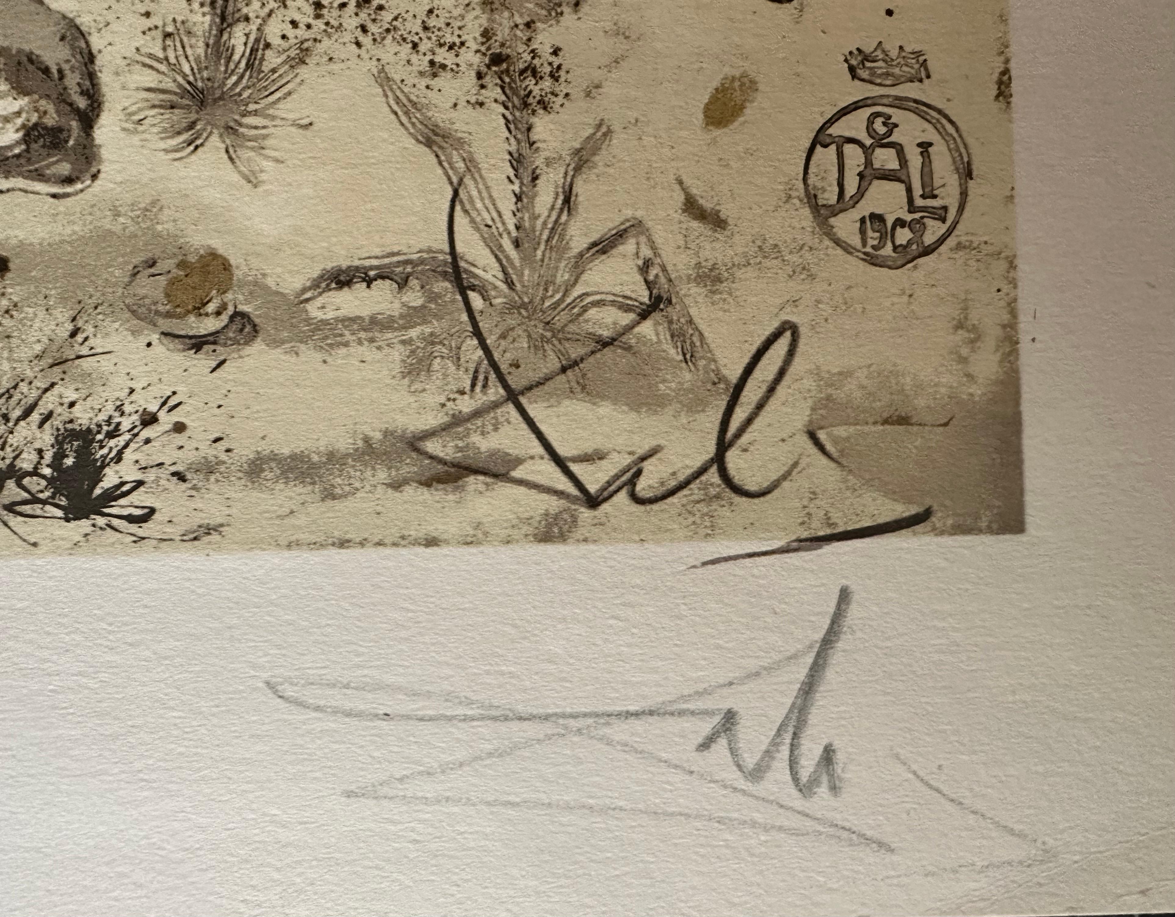 Rinoceronte - Print de Salvador Dalí