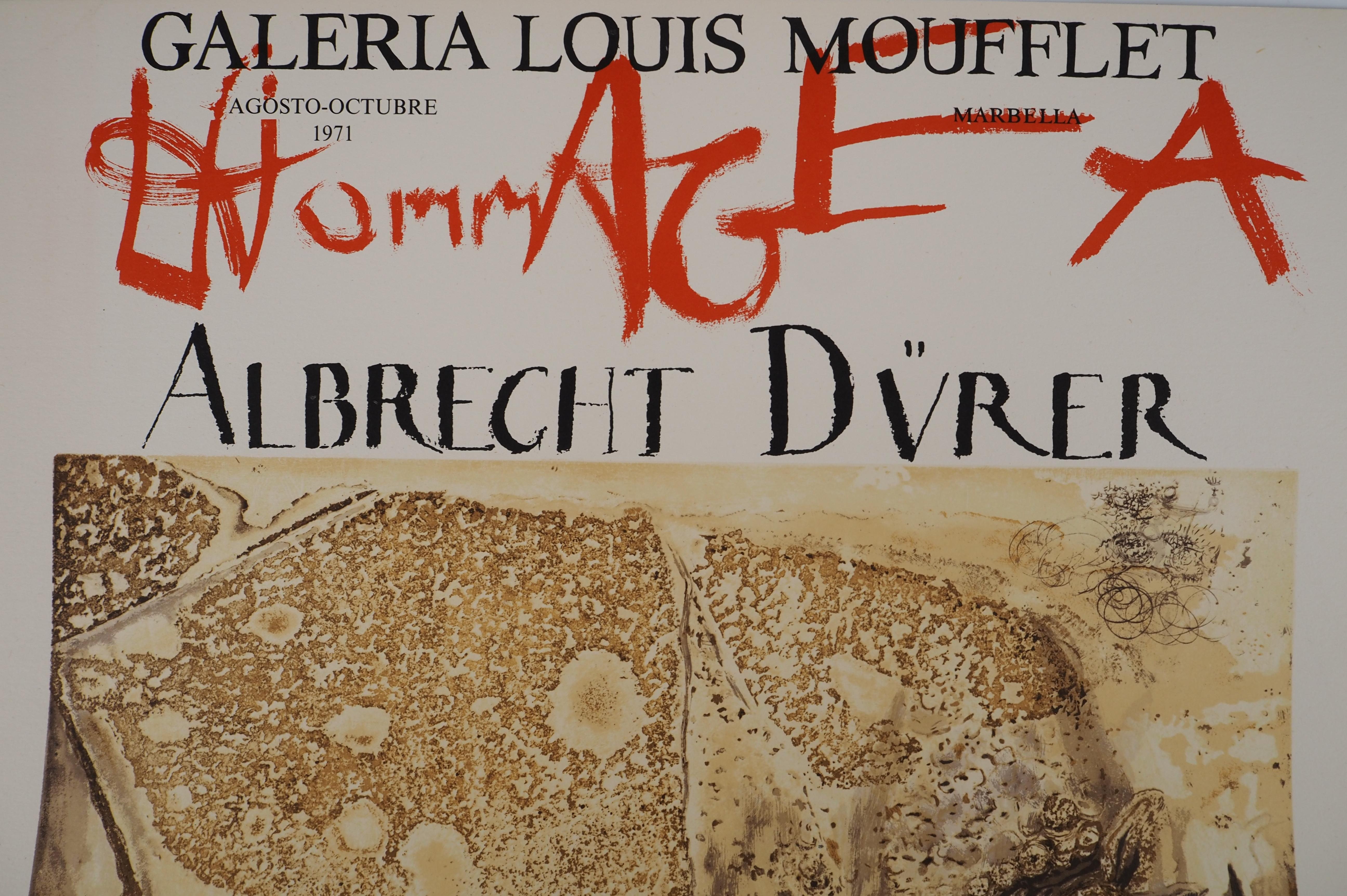Rinoceronte, omaggio ad Albrecht DURER - Poster litografico firmato (Gaspar #1503) 4