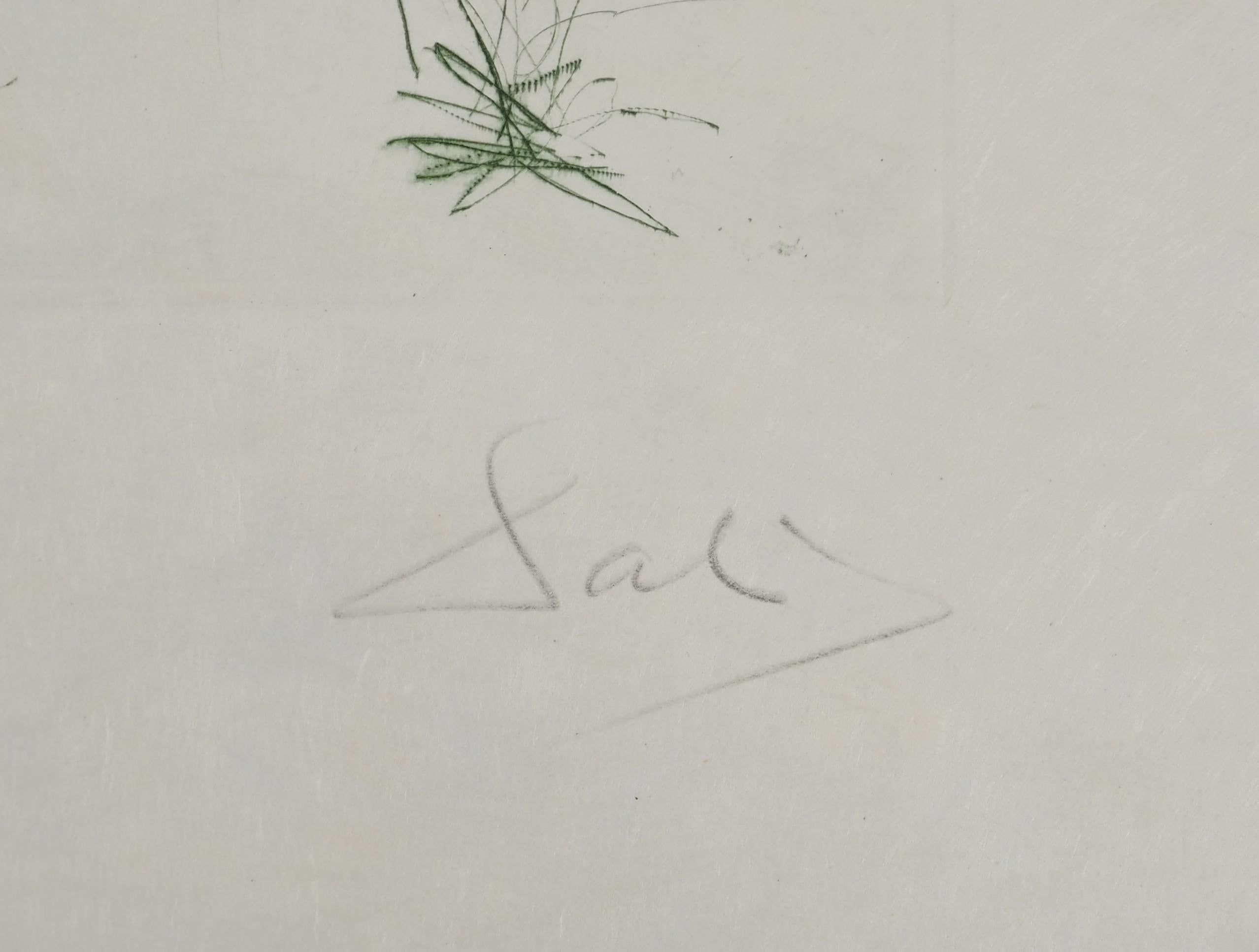 Segelboot: Iseult's Arrival – Original-Radierung, handsigniert (Feld #70-10 G) – Print von Salvador Dalí