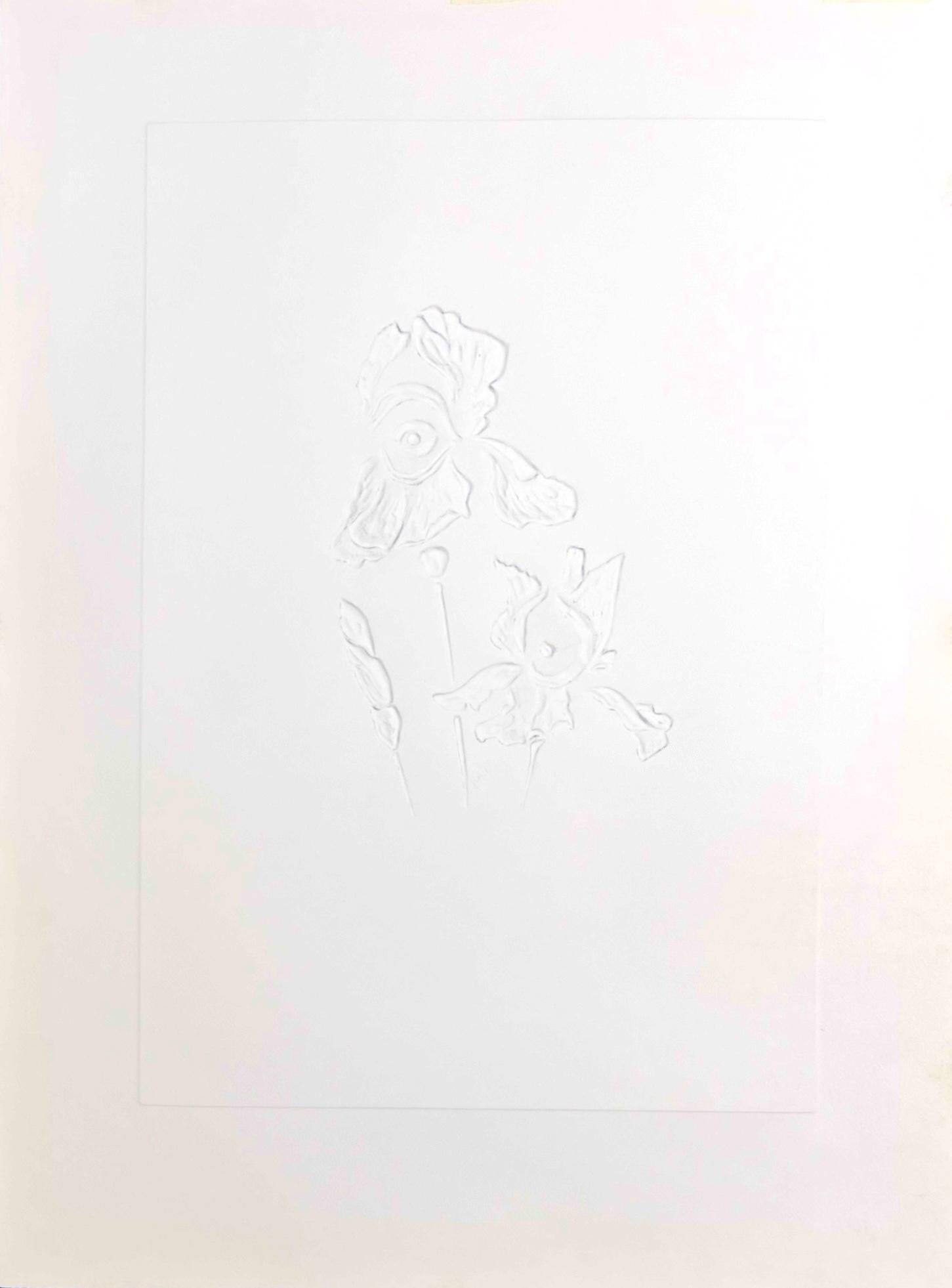 Salvador Dalí (1904-1989) - Acquaforte a punta secca colorata su eliografie - 1972 in vendita 1