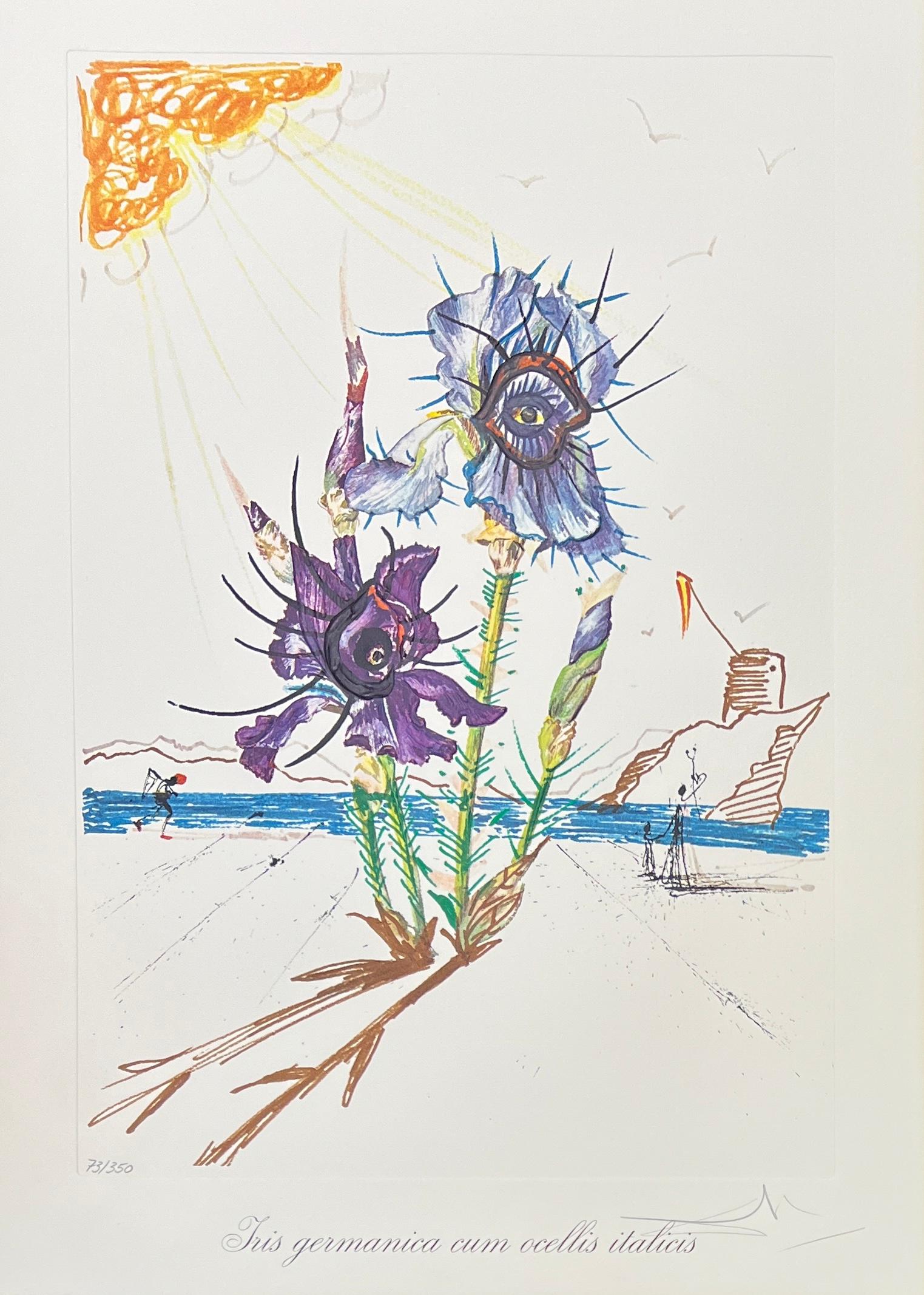 Salvador Dalí (1904-1989) - Acquaforte a punta secca colorata su eliografie - 1972 in vendita 2