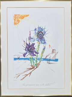 Salvador Dalí (1904–1989) - Coloured drypoint etching on heliogravures - 1972