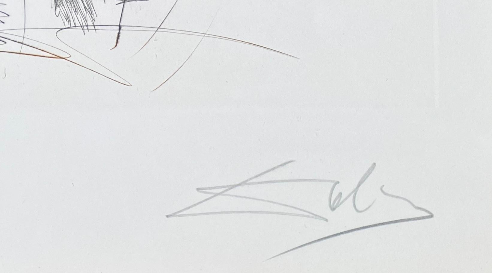 Salvador Dalí (1904-1989) - Kaltnadelradierung auf Lana-Papier - 1970 im Angebot 2
