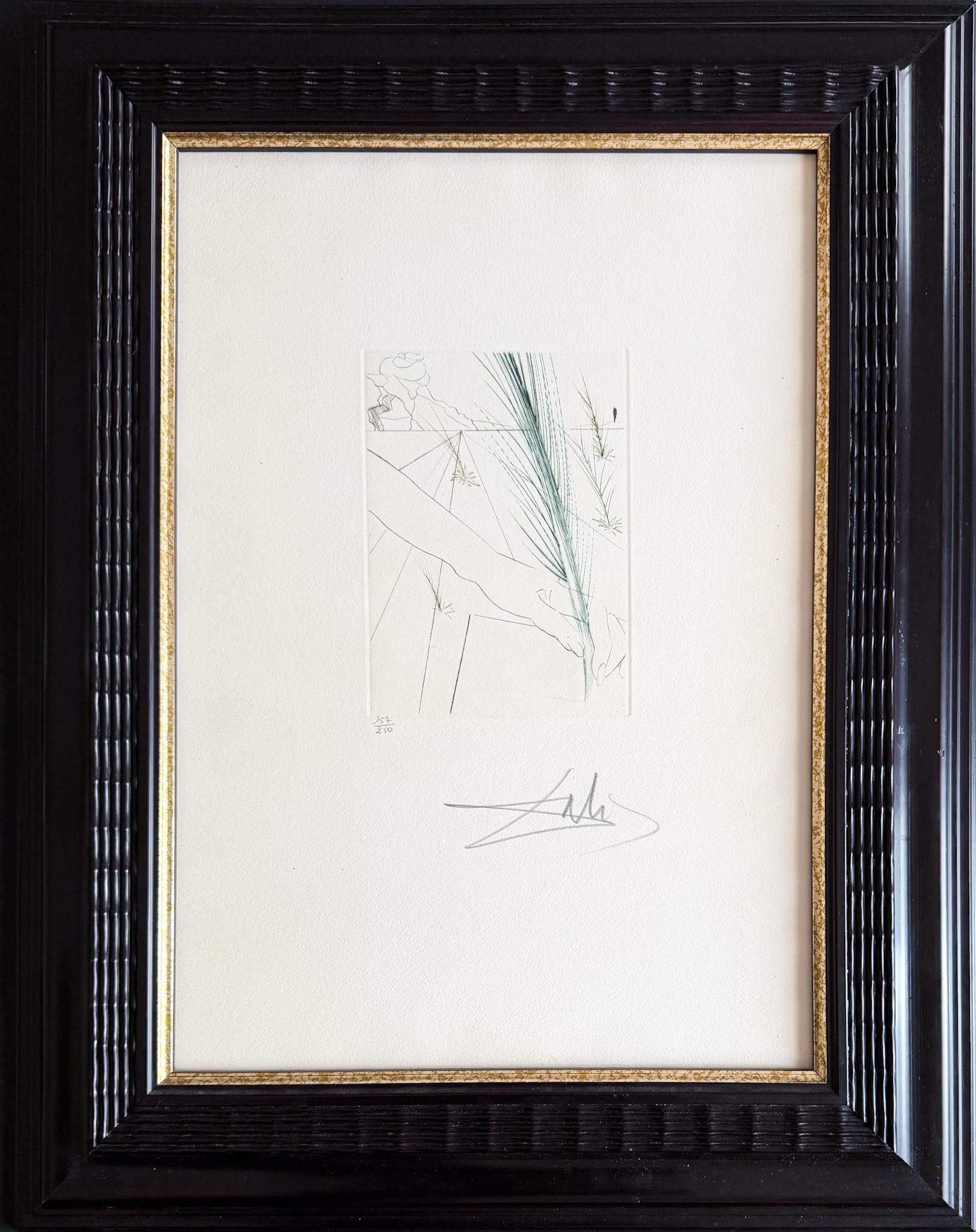 Acquaforte a puntasecca su carta su carta Rives, edita nel 1970.
Edizione limitata, numerata 157/250 in basso a sinistra.
Firmato a matita dall'artista nell'angolo in basso a destra.

Dimensioni del piatto: 17 x 12 cm
Formato carta: 46 x 29