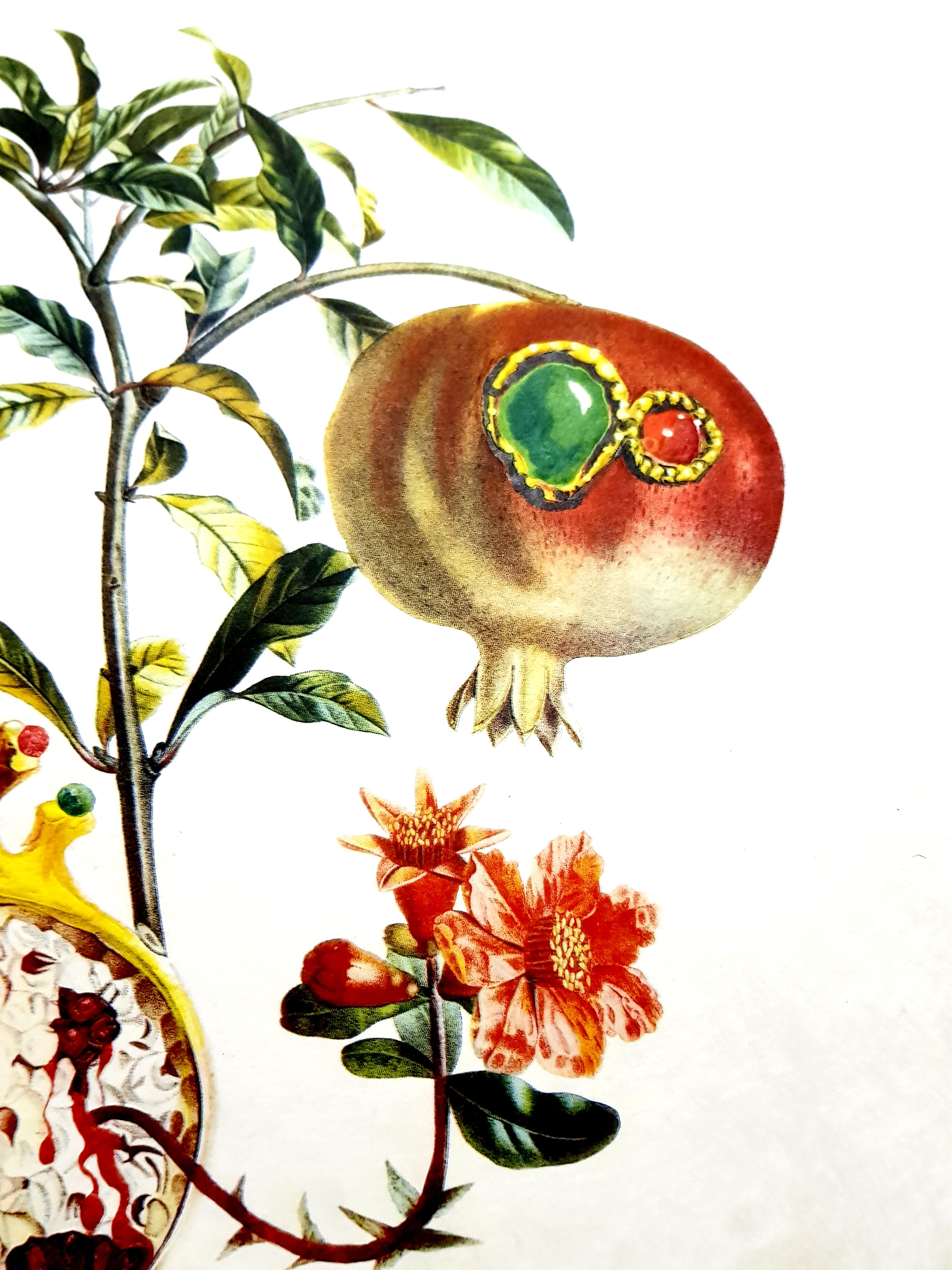 Salvador Dali - Angel and Pomegranate - Original Hand-Signed Lithograph 3