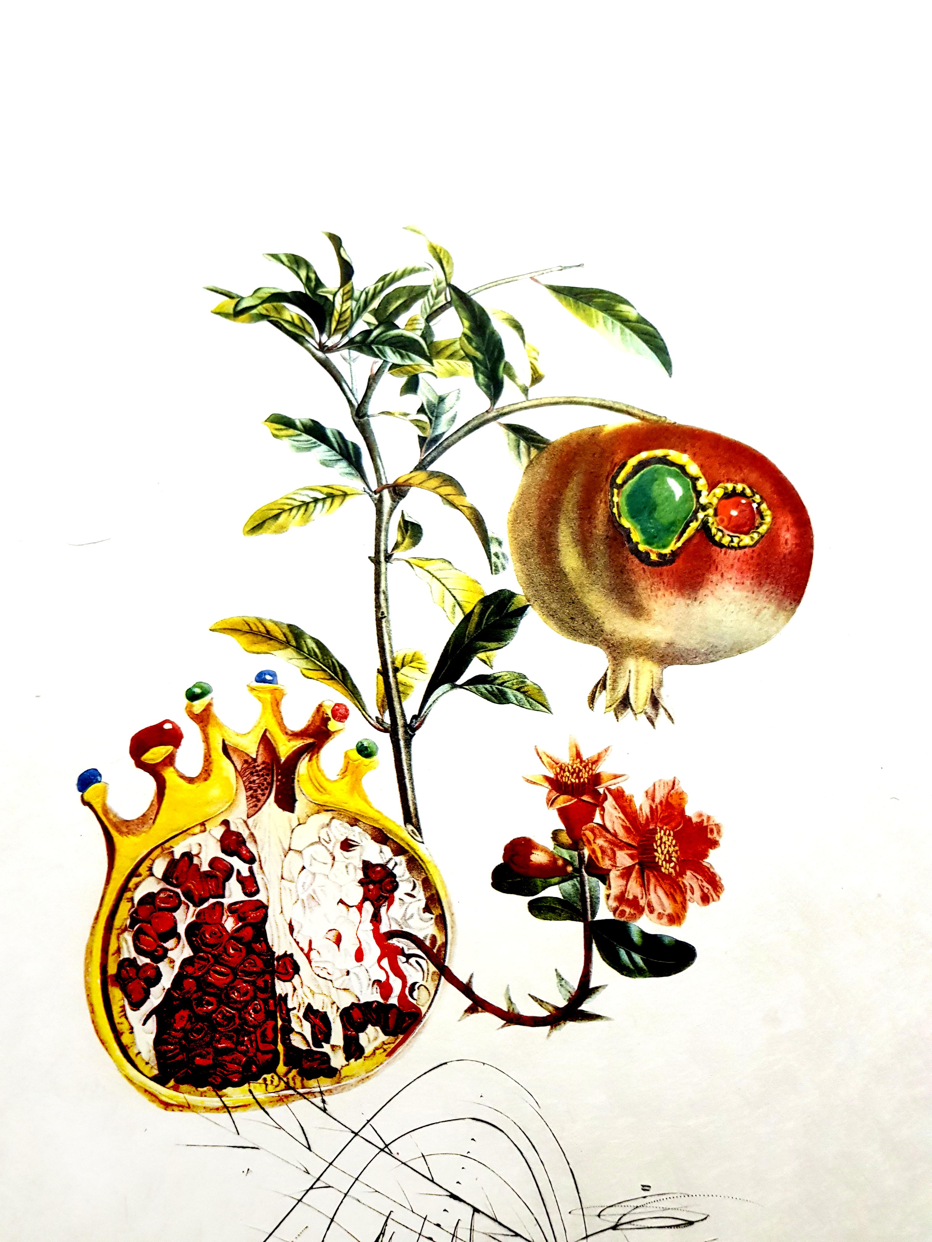 Salvador Dali - Angel and Pomegranate - Original Hand-Signed Lithograph 4