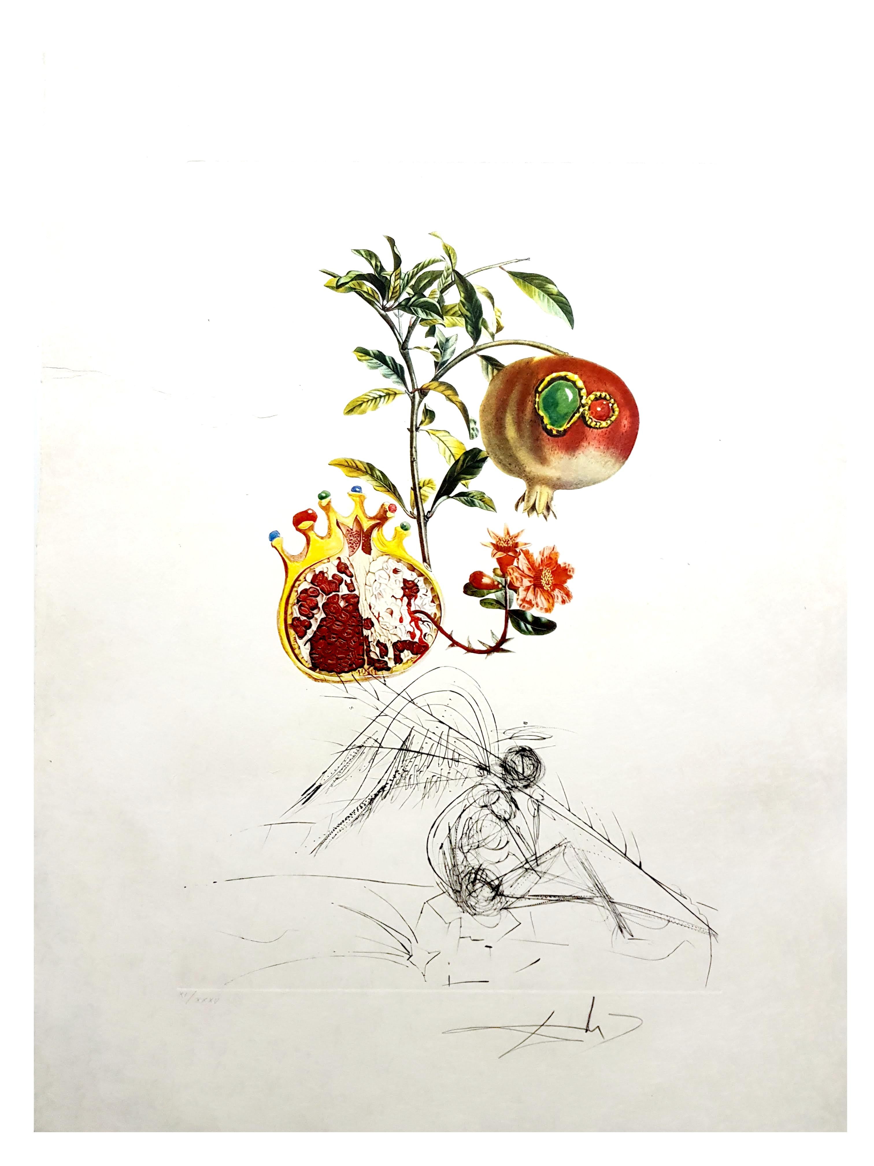 Salvador Dali - Angel and Pomegranate - Original Hand-Signed Lithograph - Print by Salvador Dalí