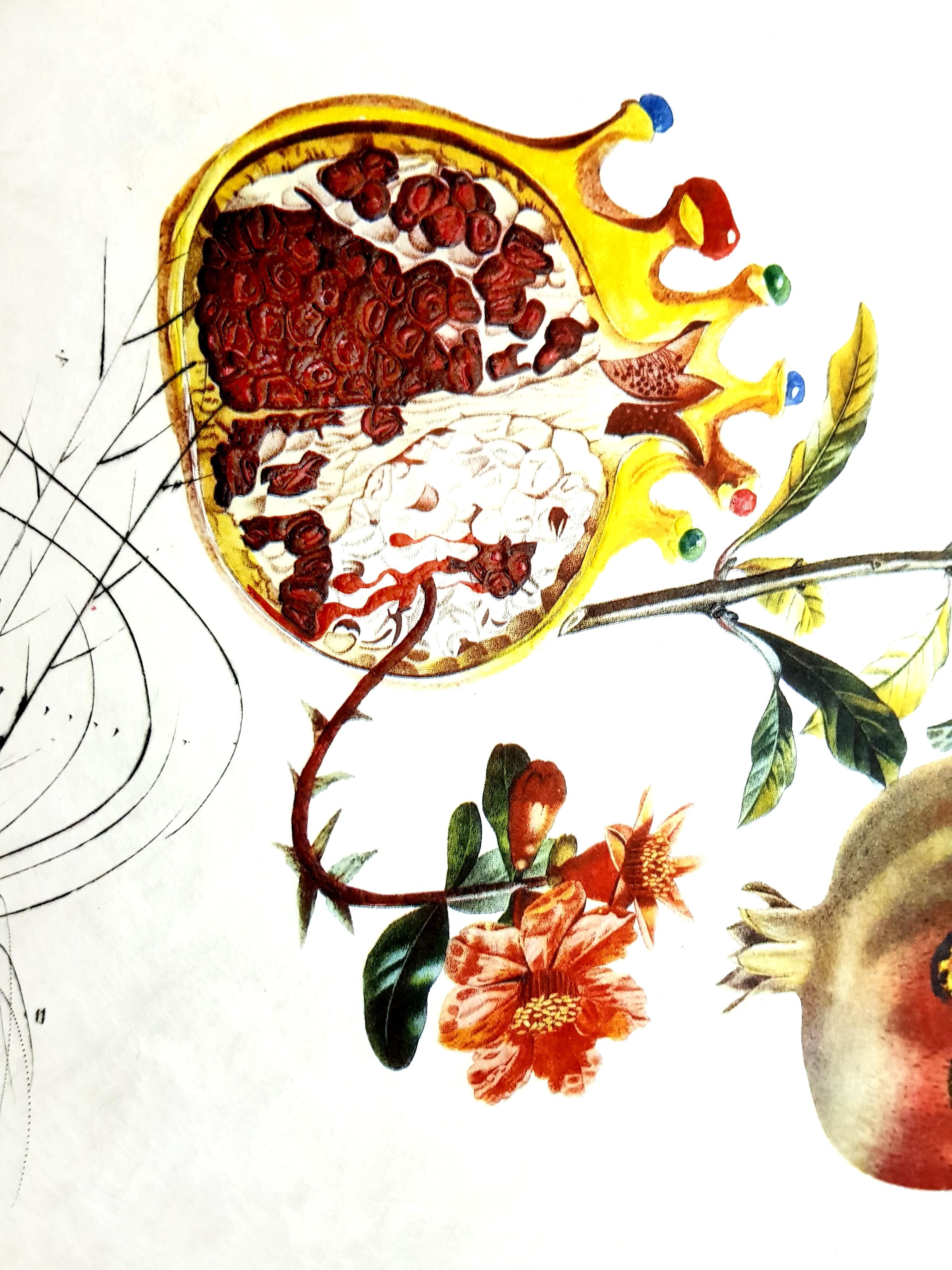 Salvador Dali - Angel and Pomegranate - Original Hand-Signed Lithograph - Surrealist Print by Salvador Dalí
