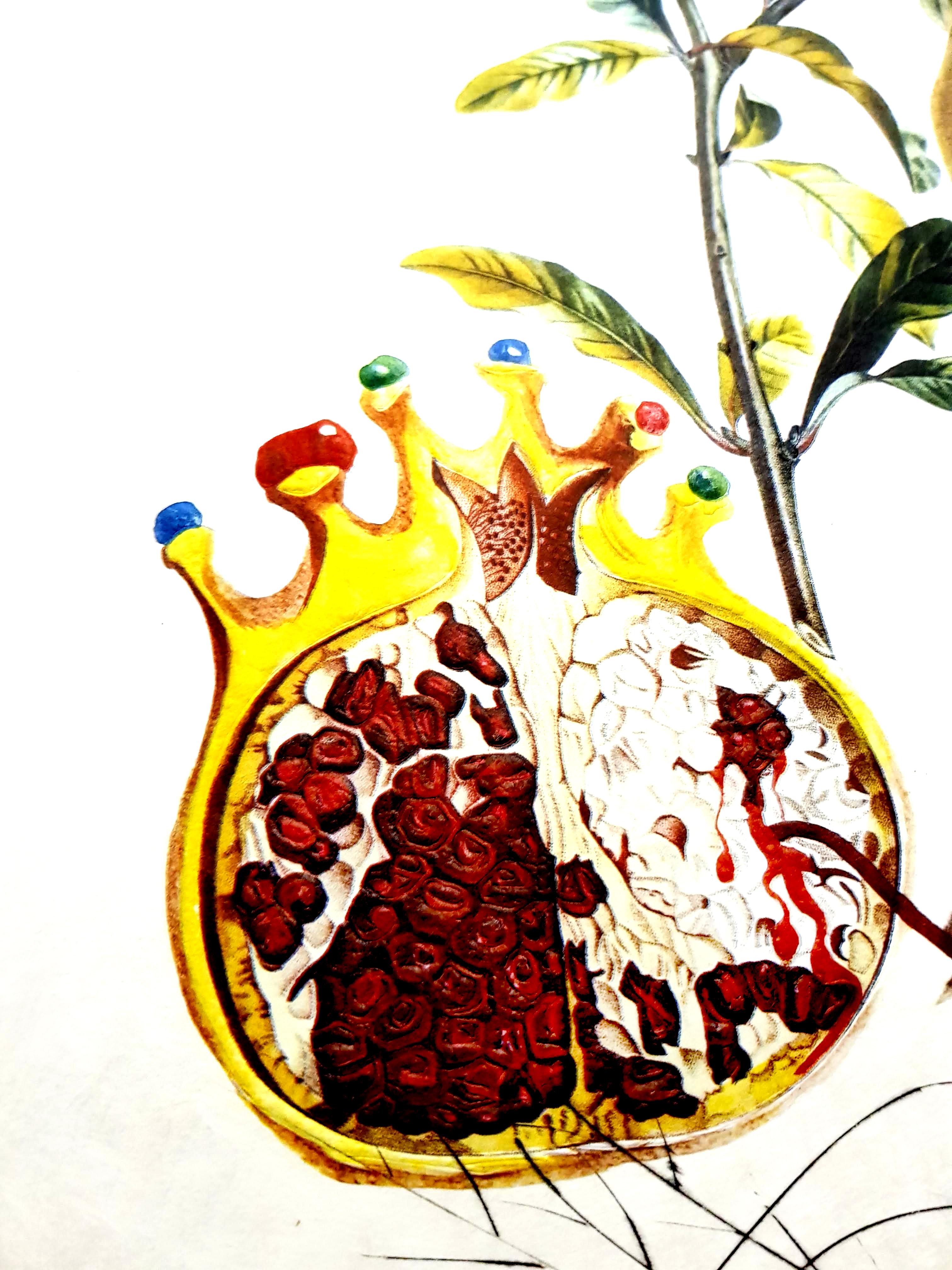 Salvador Dali - Angel and Pomegranate - Original Hand-Signed Lithograph - White Portrait Print by Salvador Dalí
