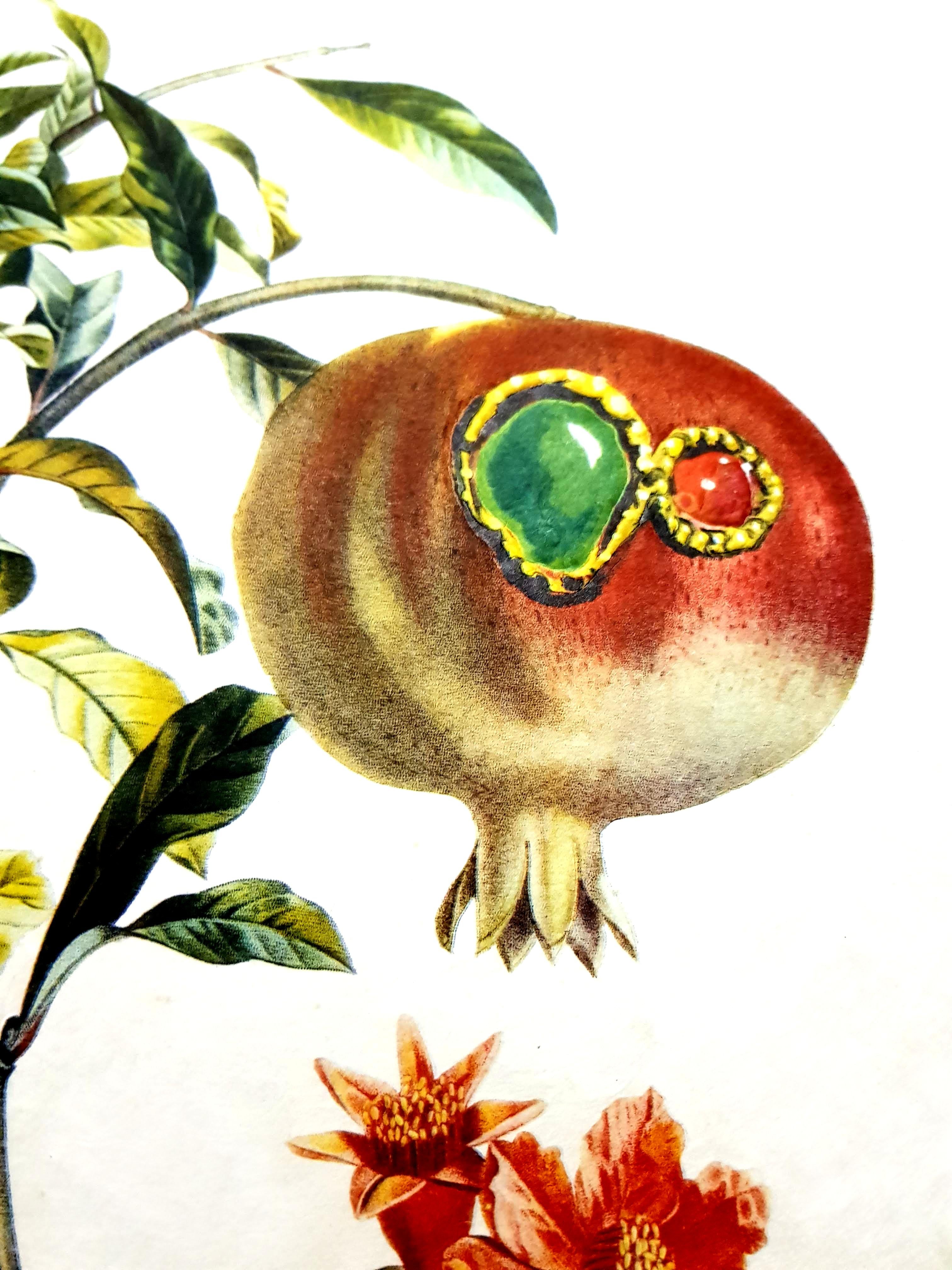 Salvador Dali - Angel and Pomegranate - Original Hand-Signed Lithograph 1