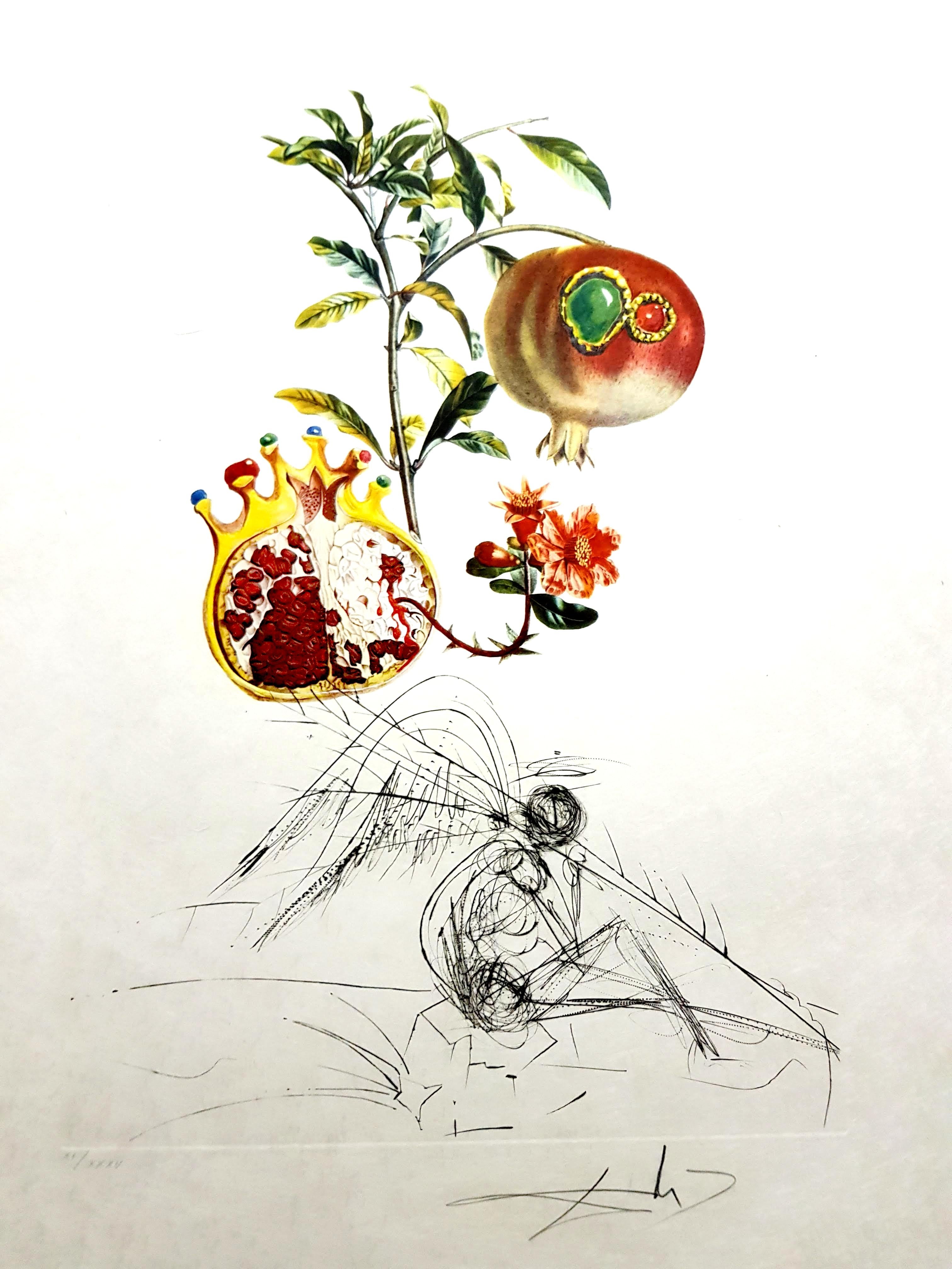 Salvador Dalí Portrait Print - Salvador Dali - Angel and Pomegranate - Original Hand-Signed Lithograph