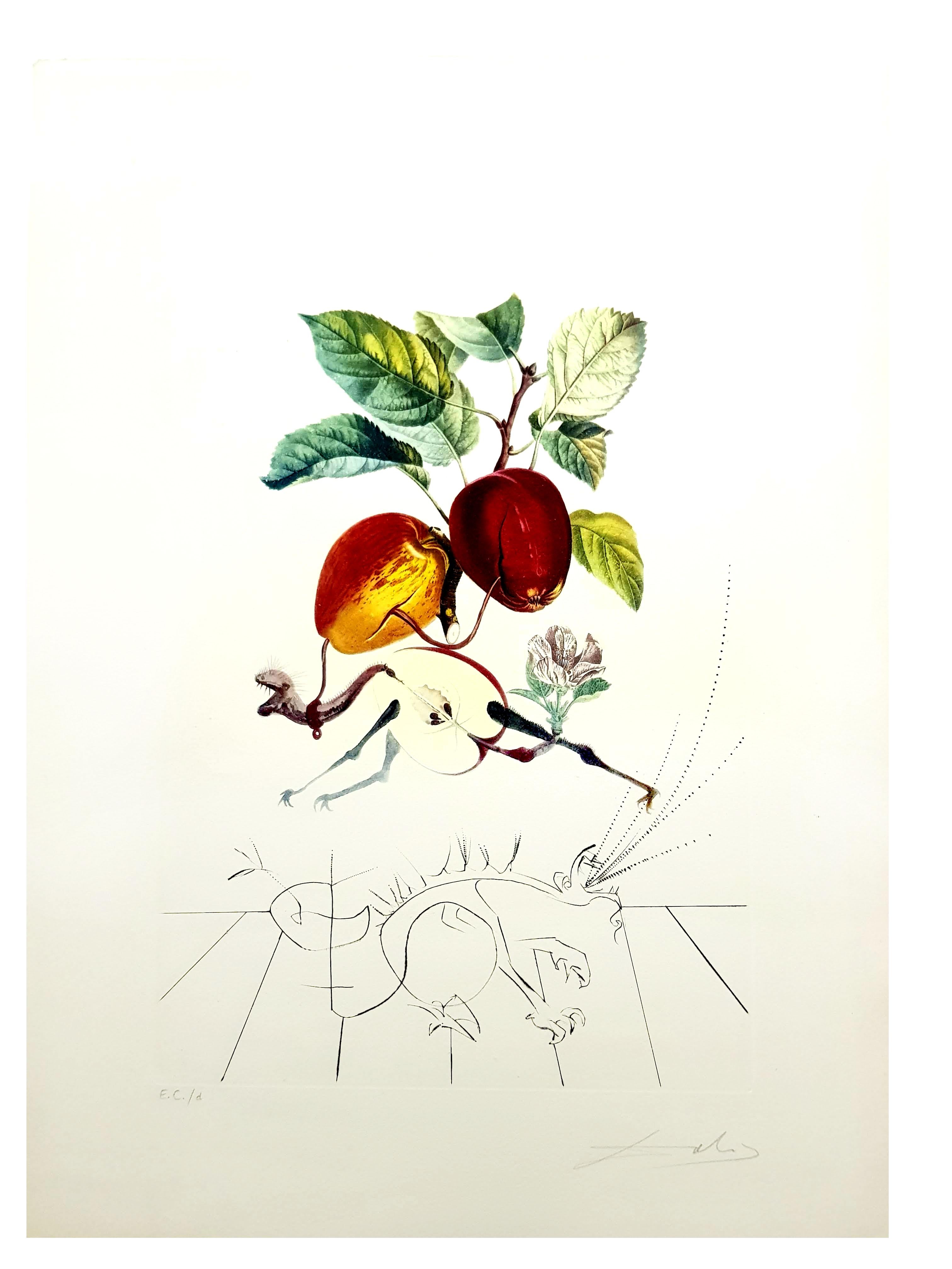 Salvador Dali - Apple Dragon - Original Hand-Signed Lithograph - Print by Salvador Dalí