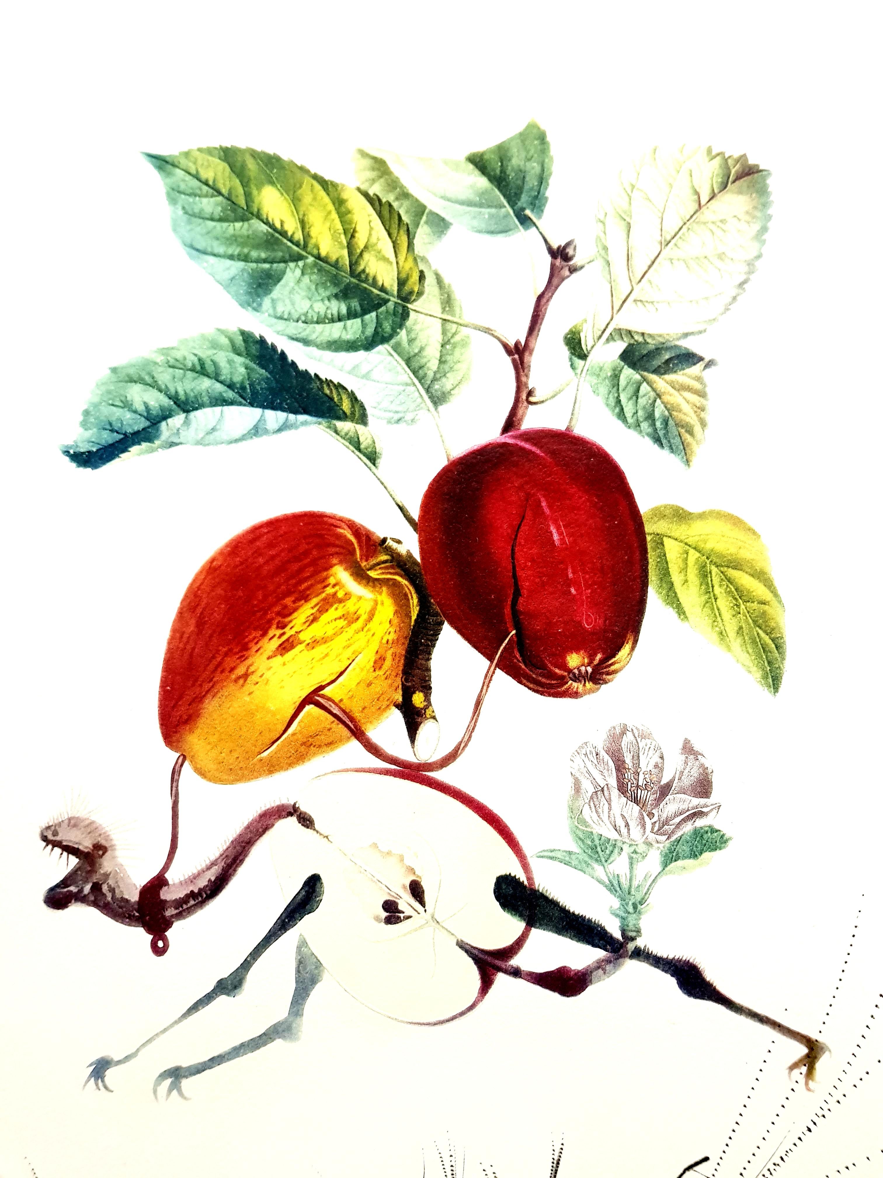 salvador dali green apple