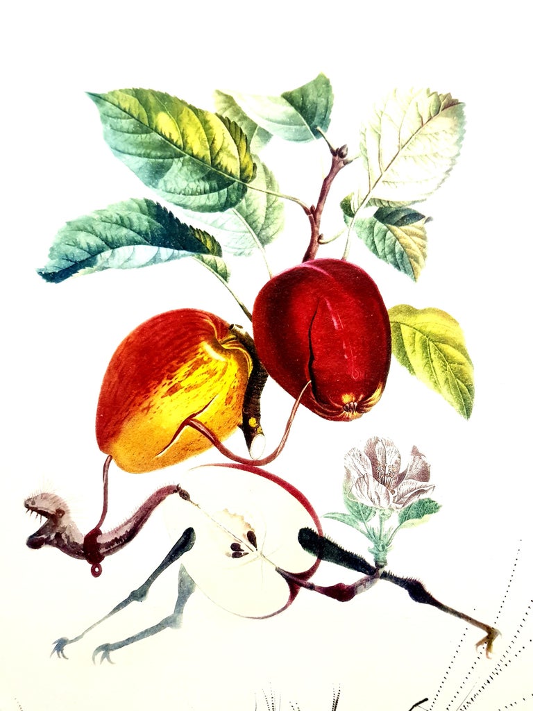 Salvador Dali Salvador Dali Apple Dragon Original Hand