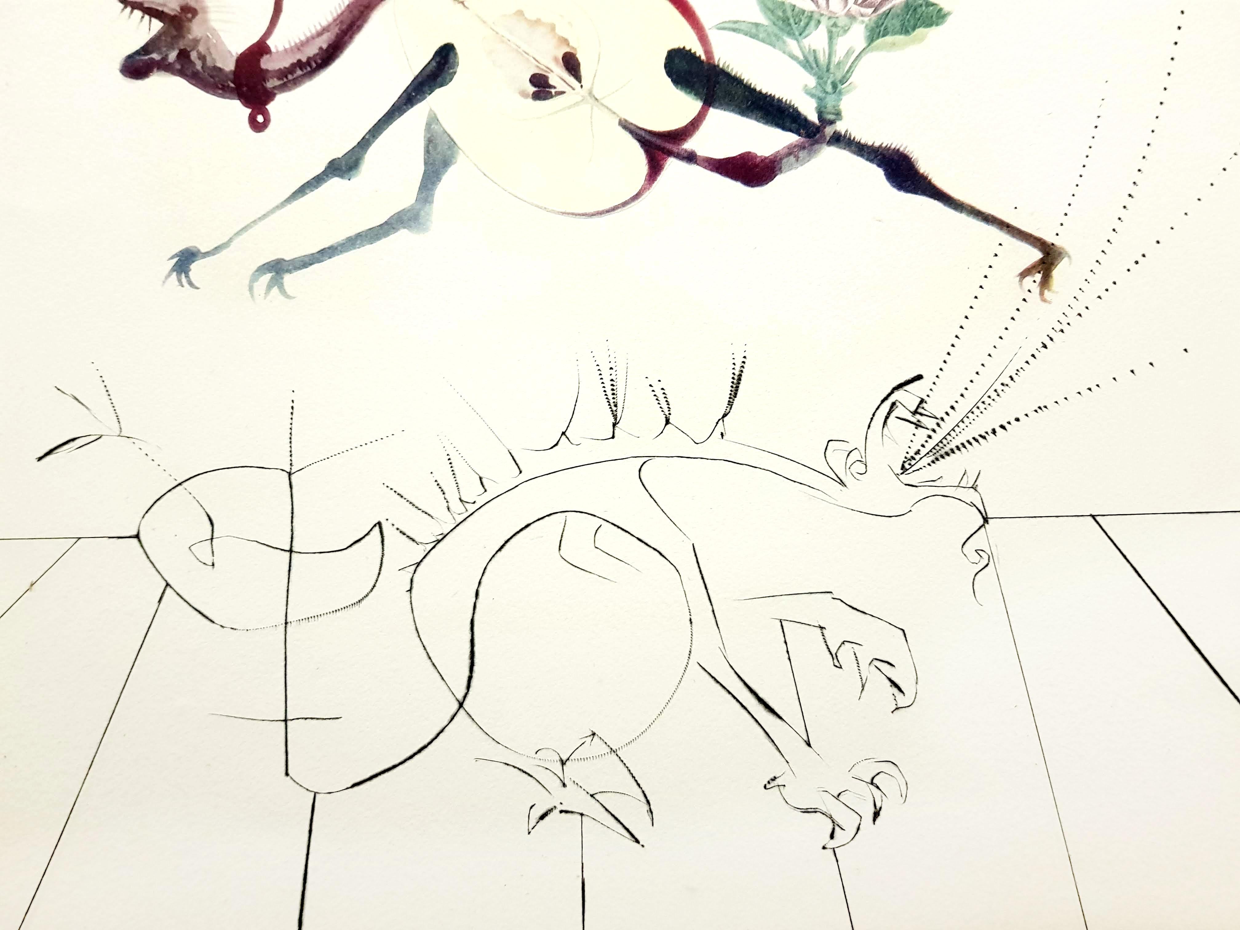 Salvador Dali - Apple Dragon - Original Hand-Signed Lithograph - Surrealist Print by Salvador Dalí