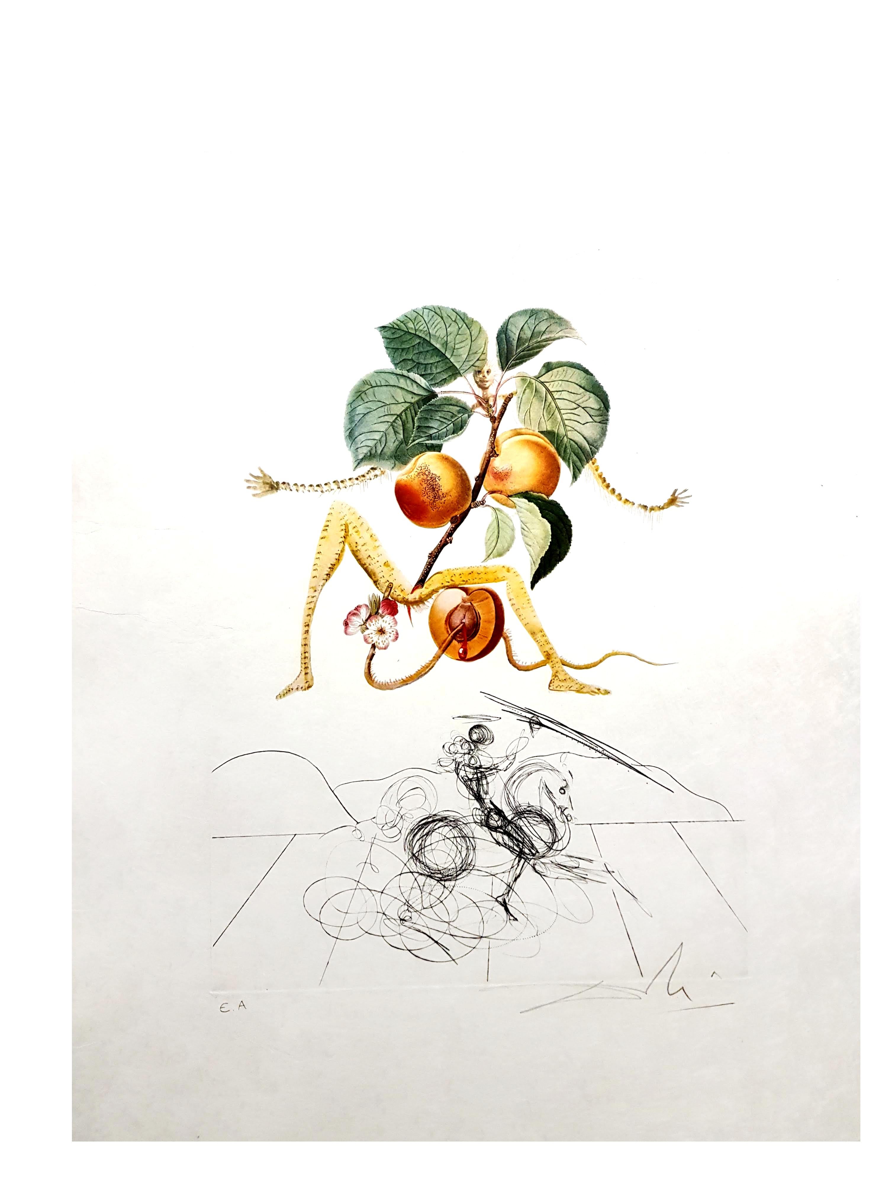 Salvador Dali - Apricot - Original Hand-Signed Lithograph - Print by Salvador Dalí