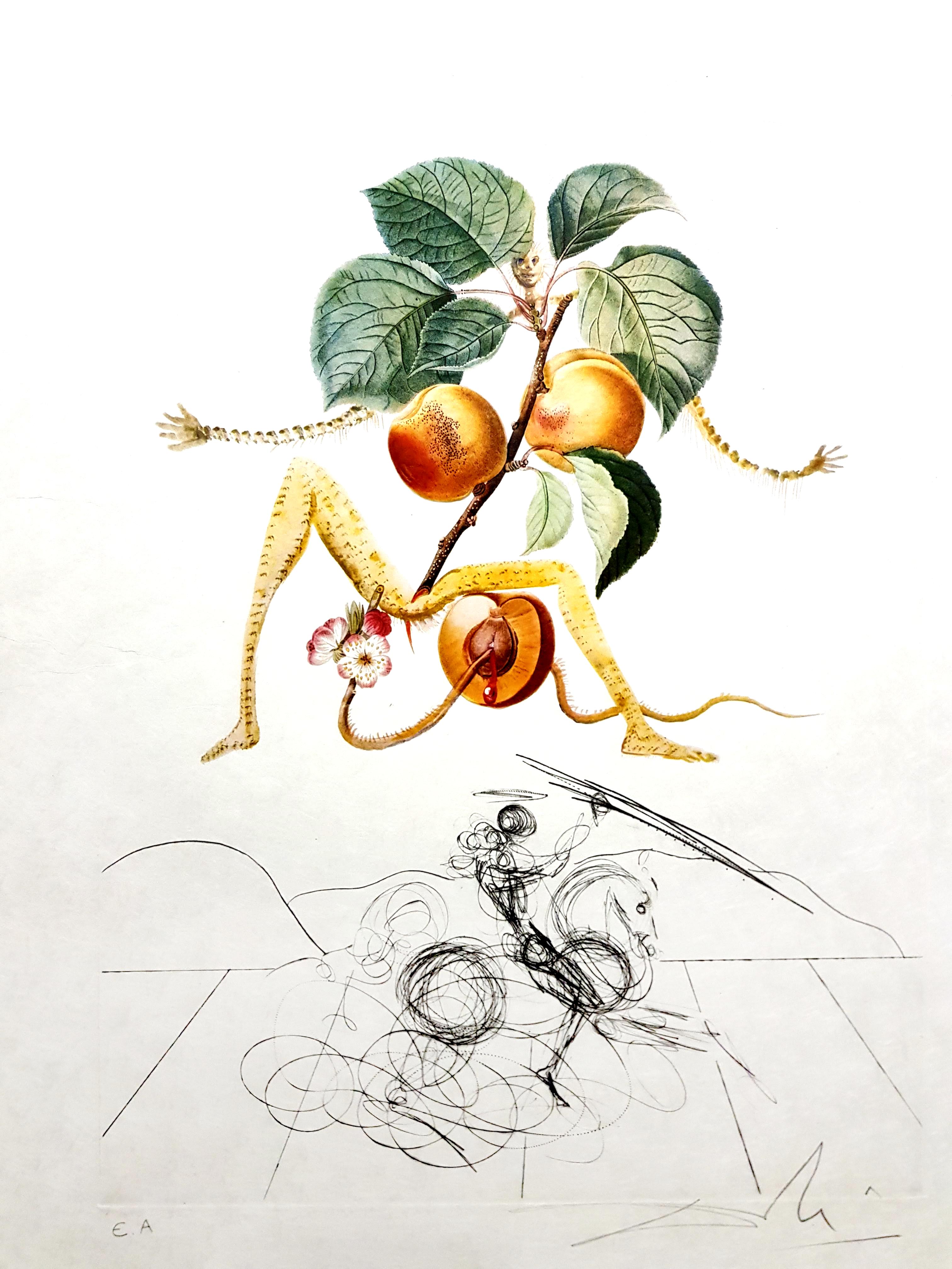 Salvador Dali - Apricot - Original Hand-Signed Lithograph