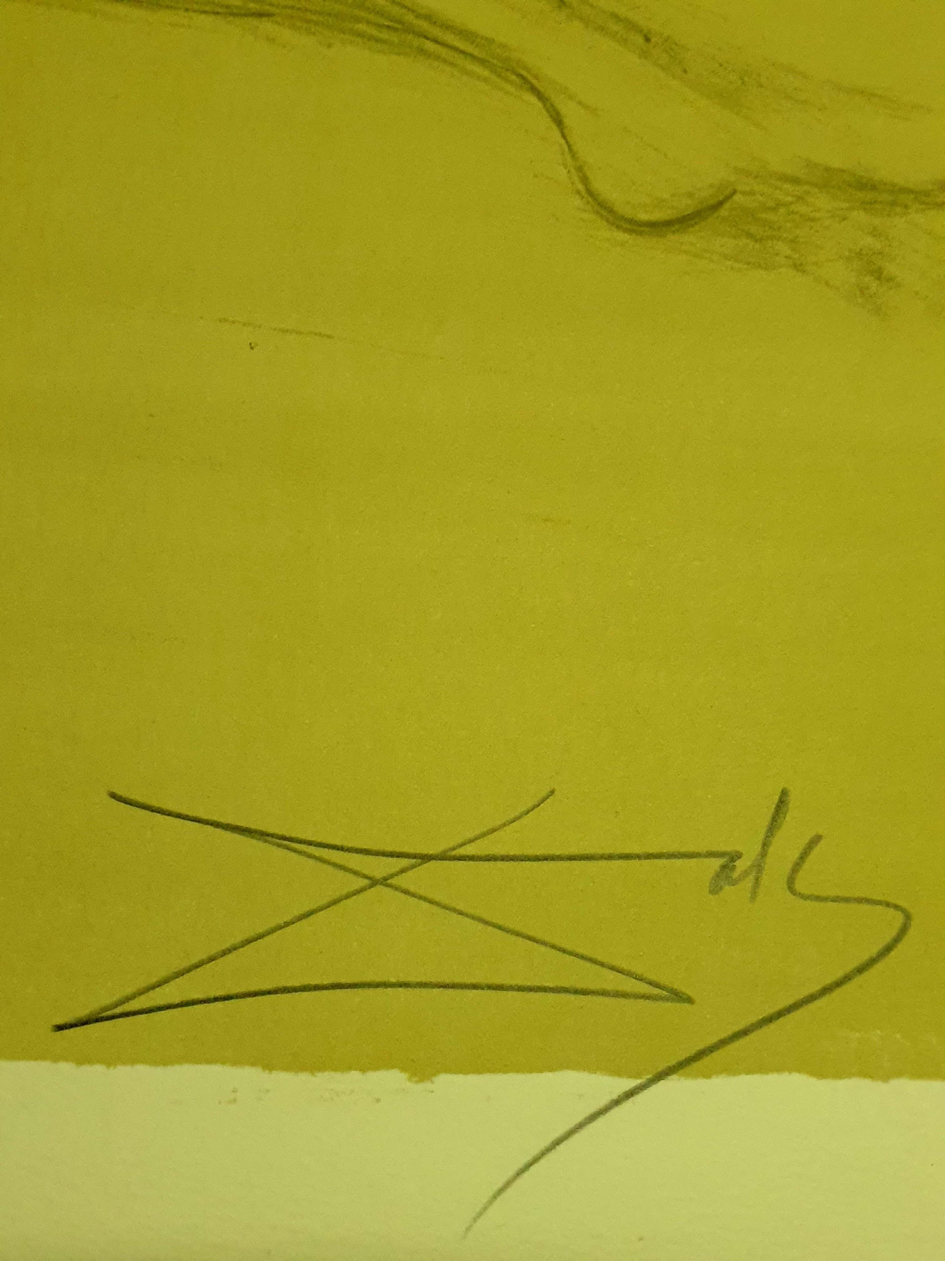 Salvador Dali - Am Strand - Original Handsignierte Lithographie
Abmessungen: 51 x 71 cm
1970
Mit Bleistift signiert und nummeriert
Ausgabe : /CXX
Referenzen : Feld 70-8