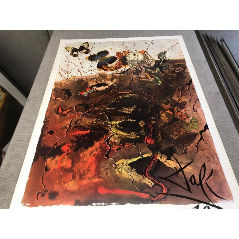 Salvador Dalí 