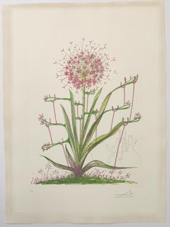 Salvador Dalí -- Cactus (+ Crutches) Les Bequilles from Florals