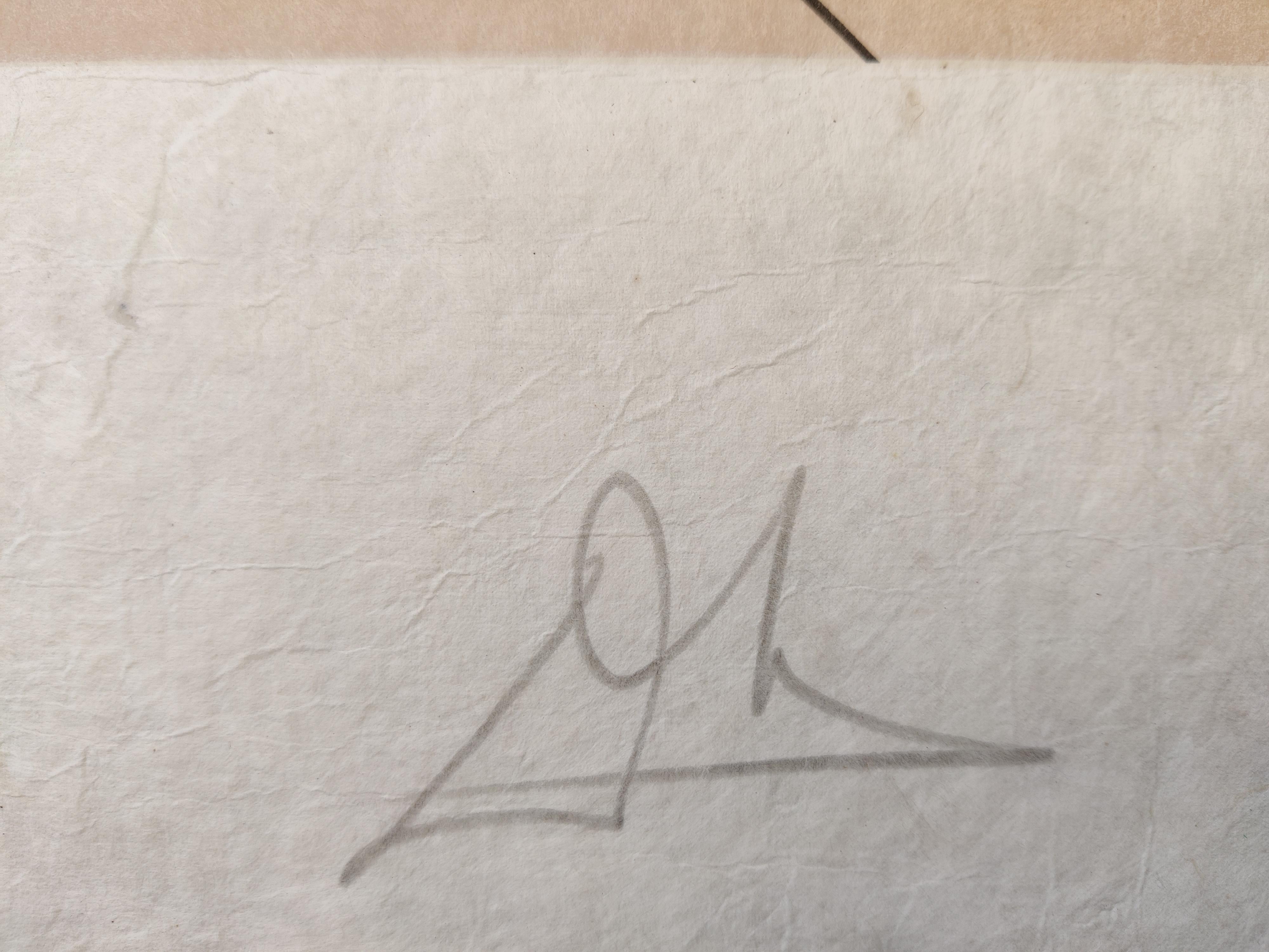 Salvador Dali
Éléphant céleste (éléphant de l'espace), 1979
Lithographie
Signé à la main en bas à droite 
Numéroté I 118/150
Taille de l'image : 58 x 43 cm
Taille de la feuille : 75 x 55 cm

Champ 79-5