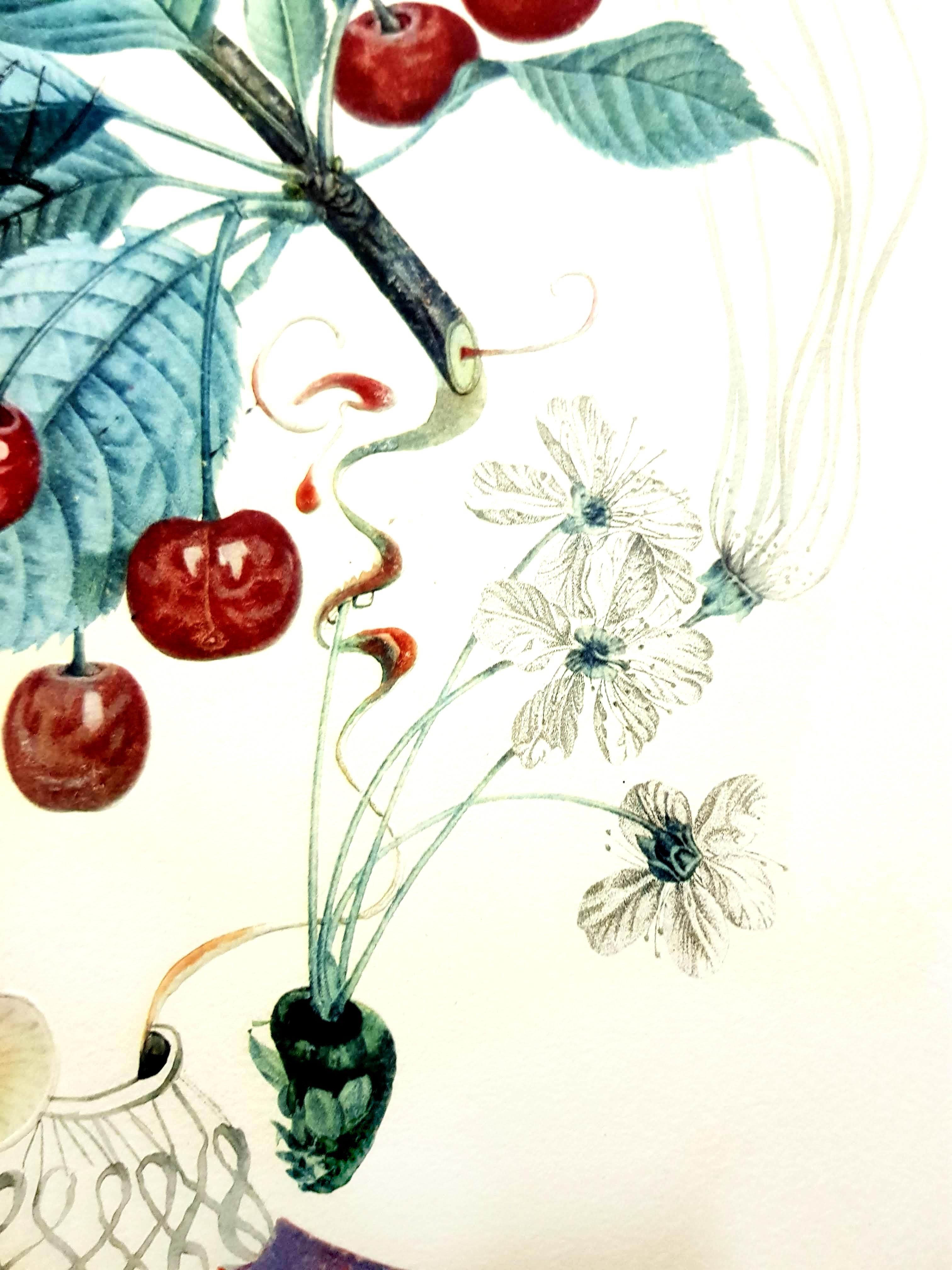 Salvador Dali - Cherries - Original Hand-Signed Lithograph For Sale 3