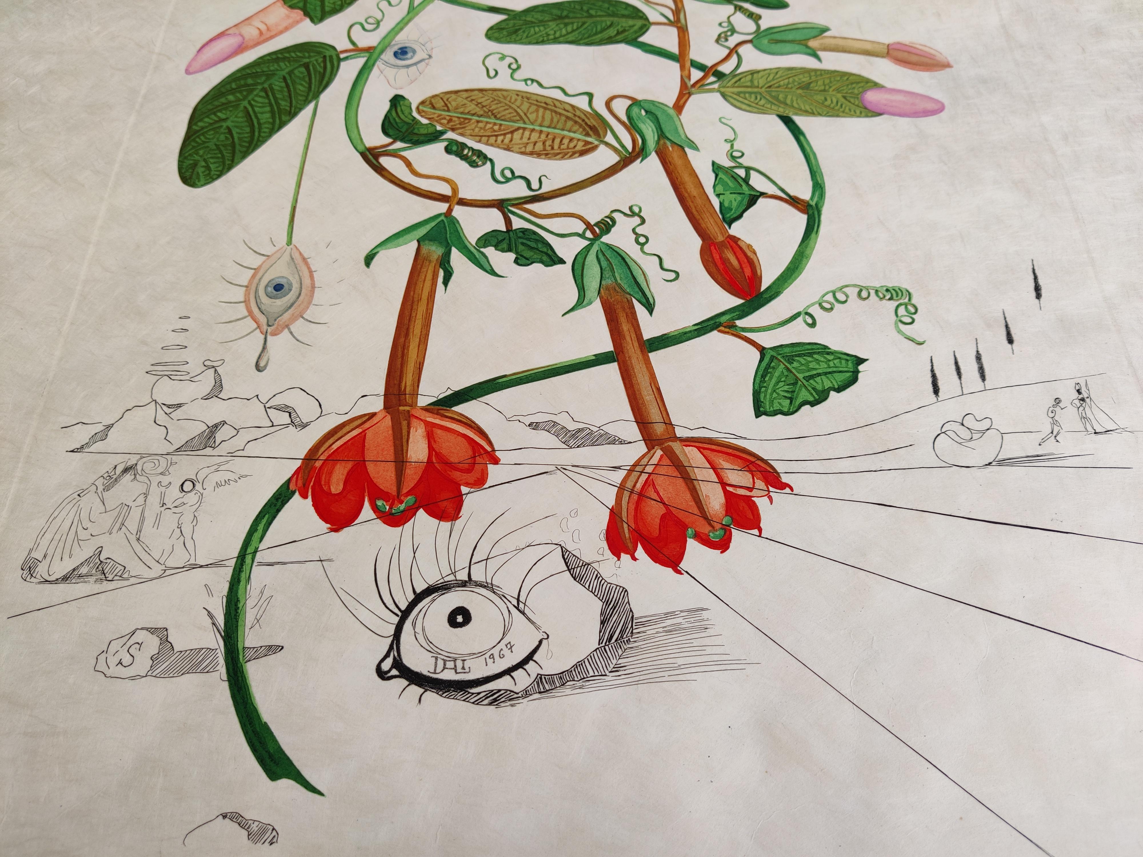 Salvador Dali - Cobea (Pisum Sensuale) en vente 1