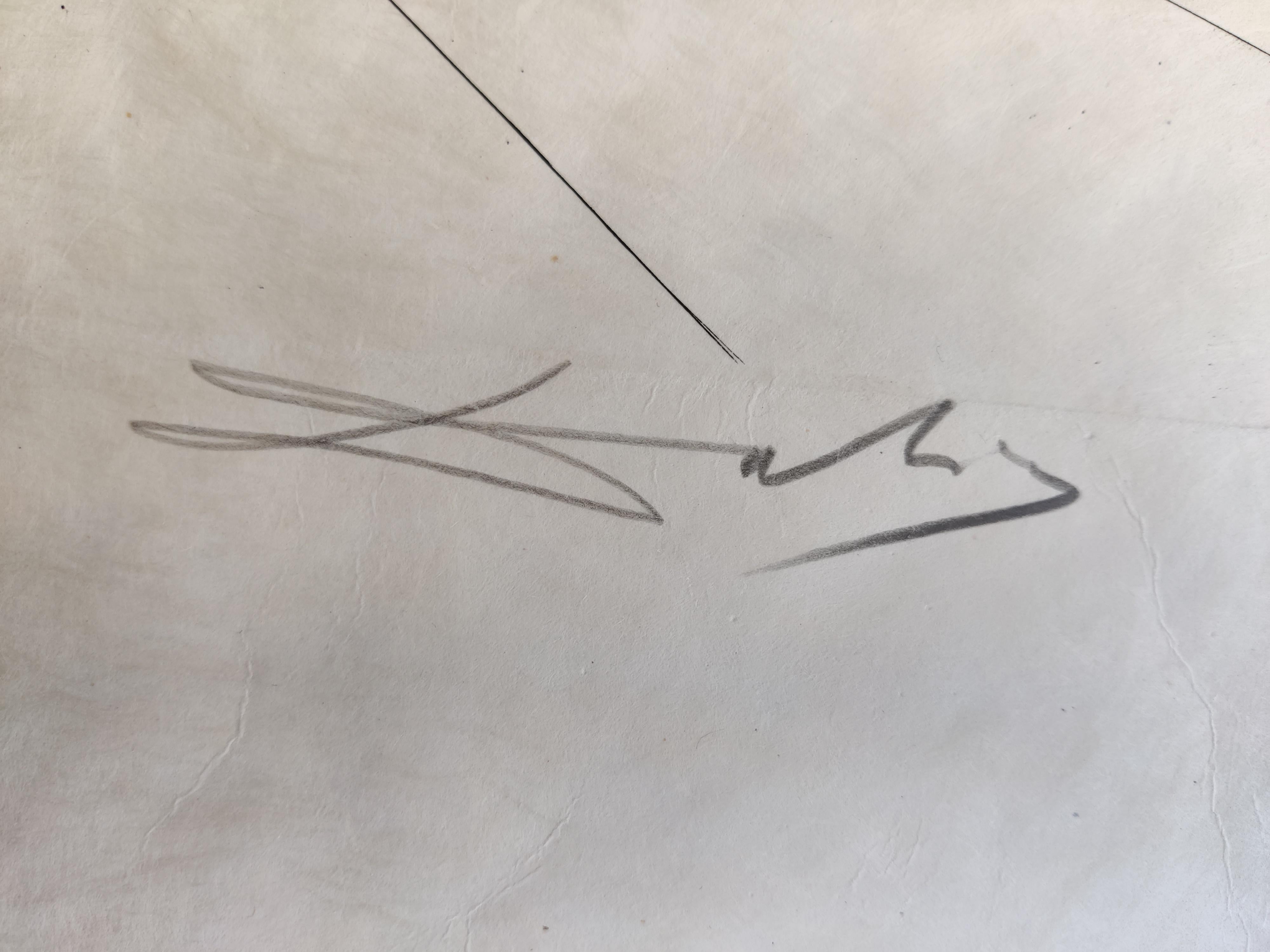 Salvador Dali - Cobea (Pisum Sensuale) en vente 2