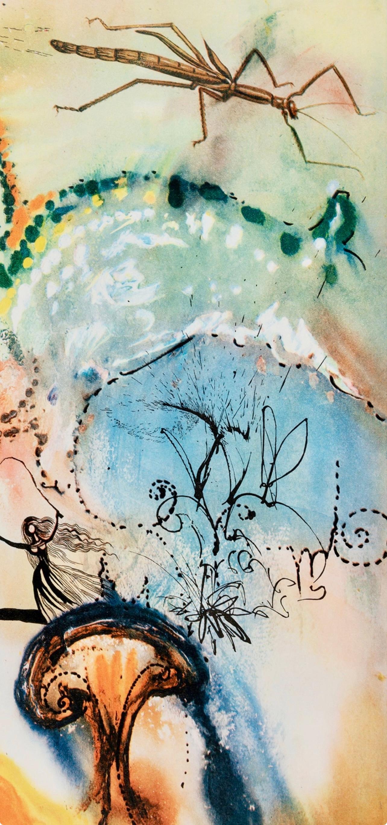 Salvador Dalí, Composition (Field 69-5, A-M), Alice's Adventures in Wonderland 2