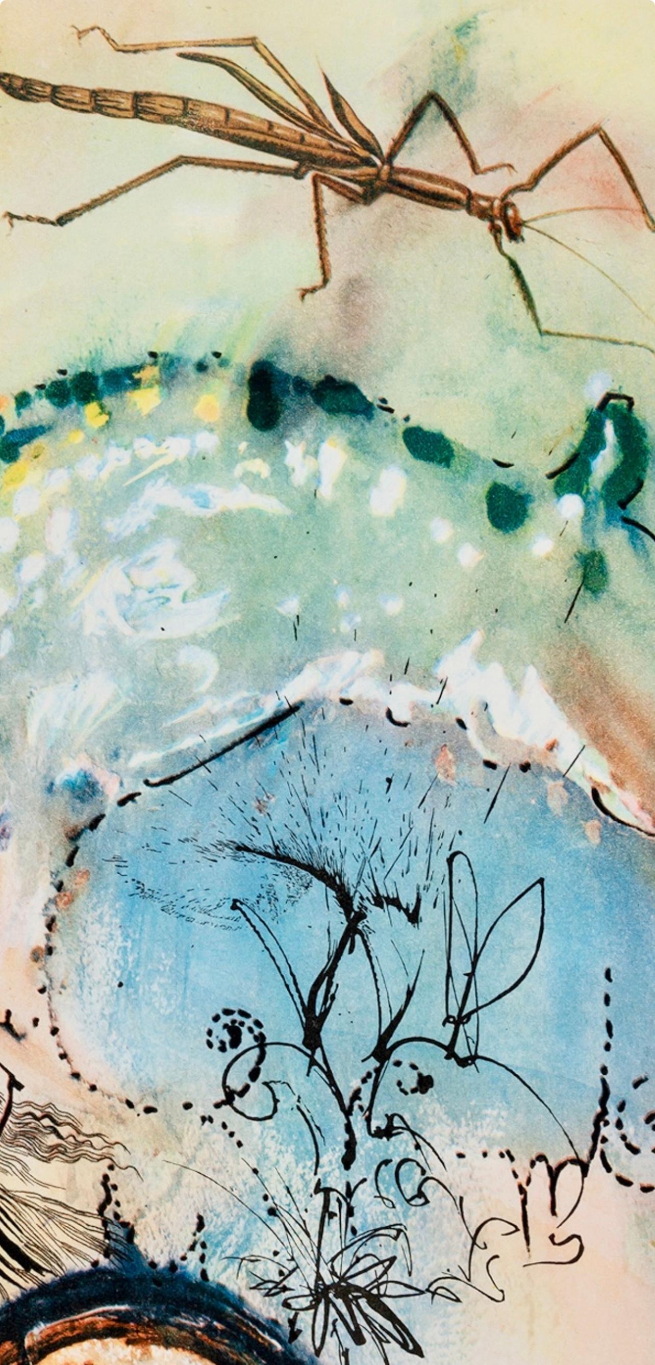 Salvador Dalí, Composition (Field 69-5, A-M), Alice's Adventures in Wonderland 4