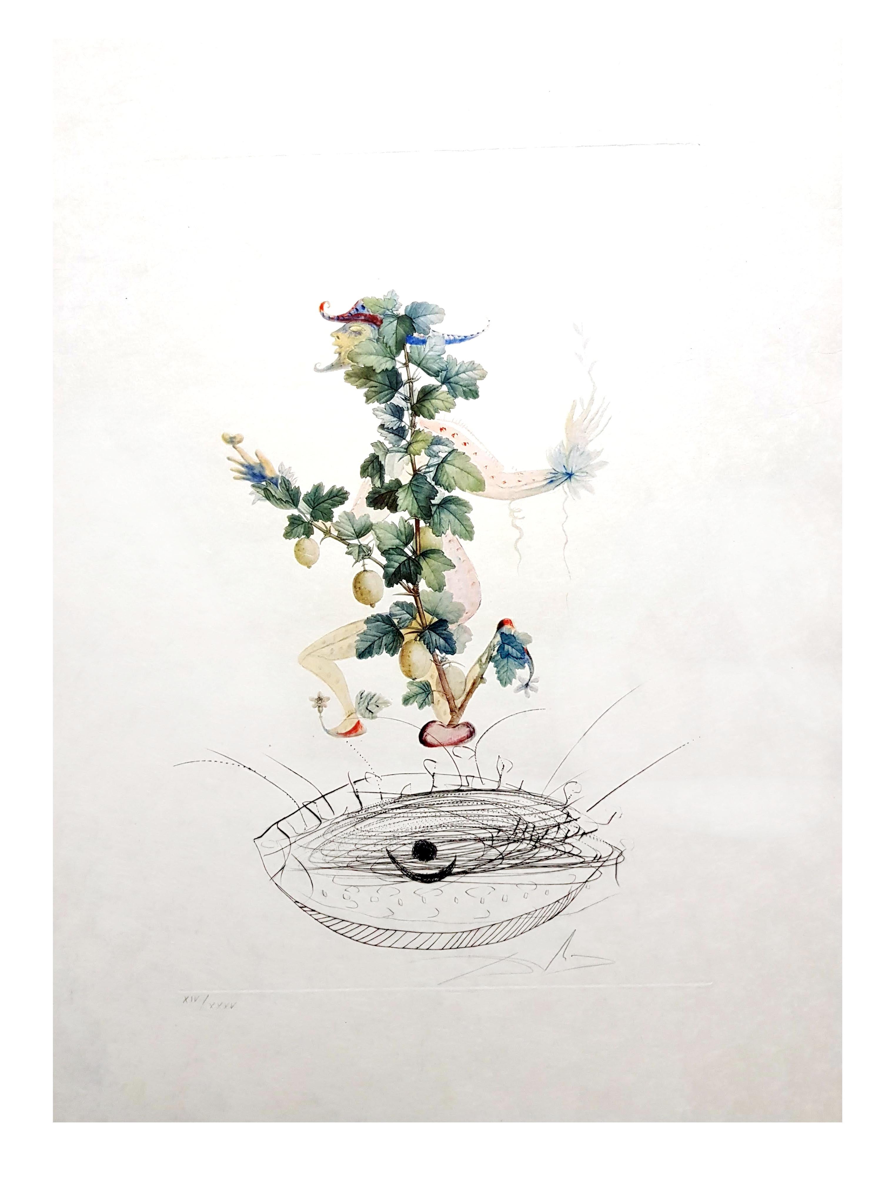 Salvador Dali – Wurzeln der Kurranten – Original handsignierte Lithographie (Weiß), Still-Life Print, von Salvador Dalí